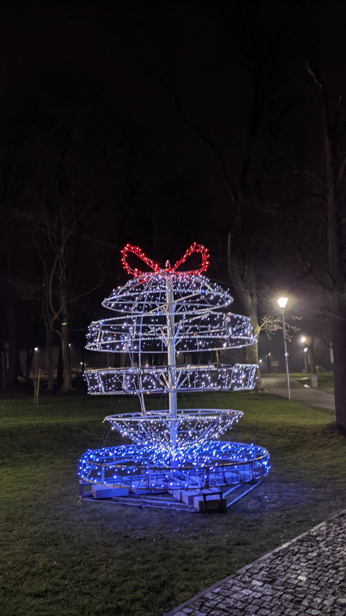 IMG_20211205_174801448.NIGHT