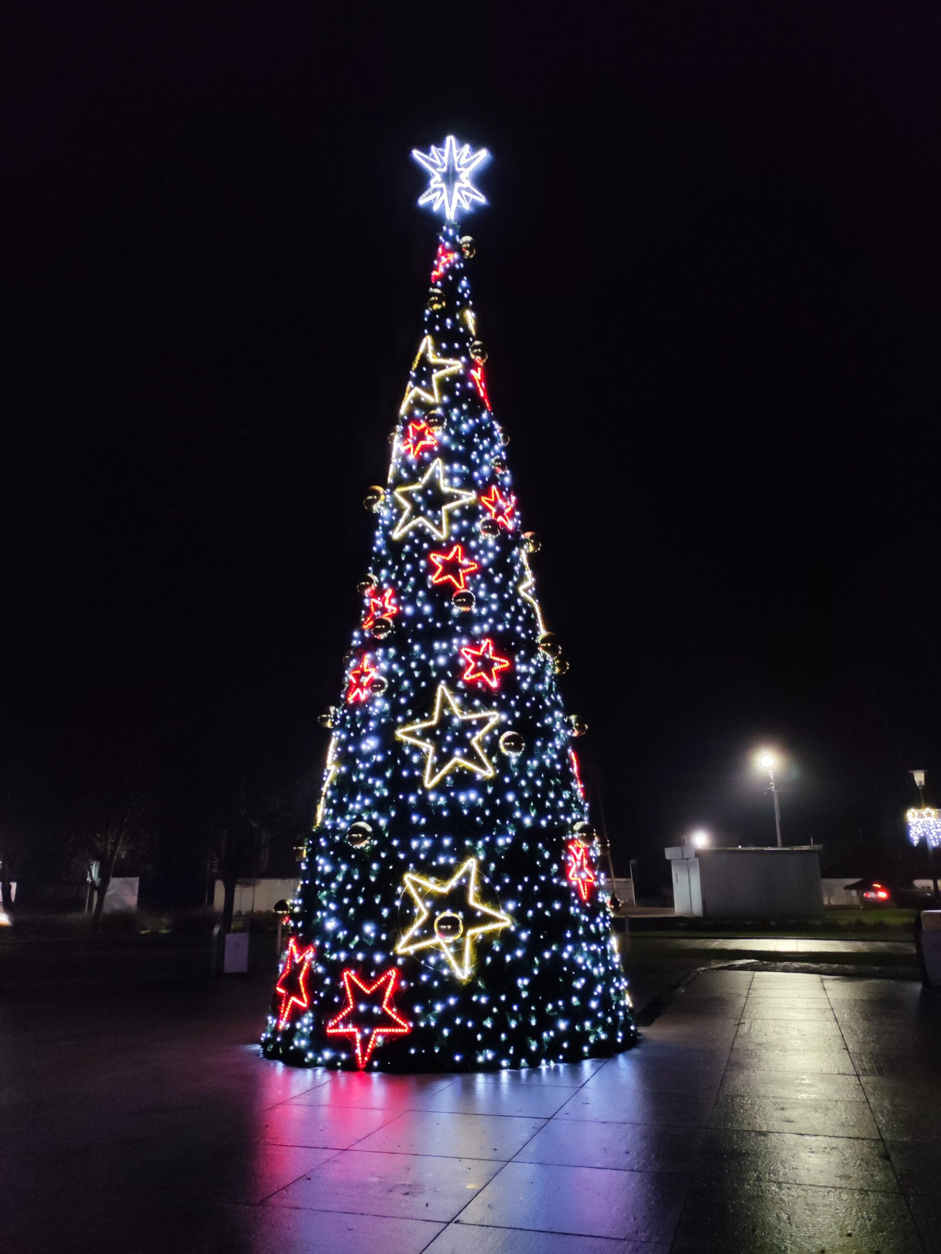 IMG_20211205_175303