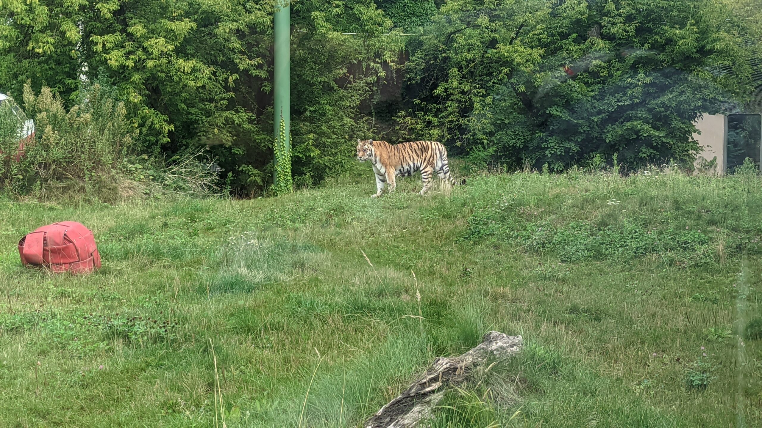 IMG_20220806_142441412