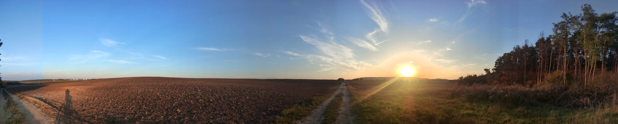 IMG_20221018_170628515.PANO