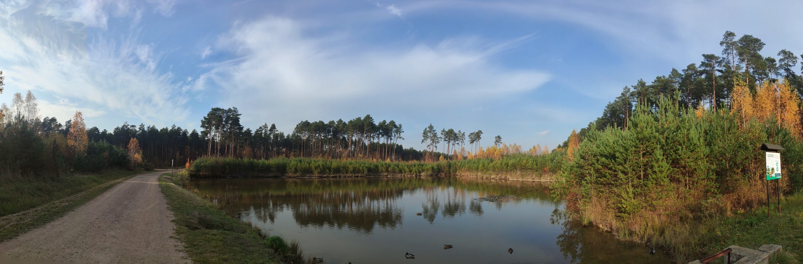 IMG_20221030_141145236.PANO