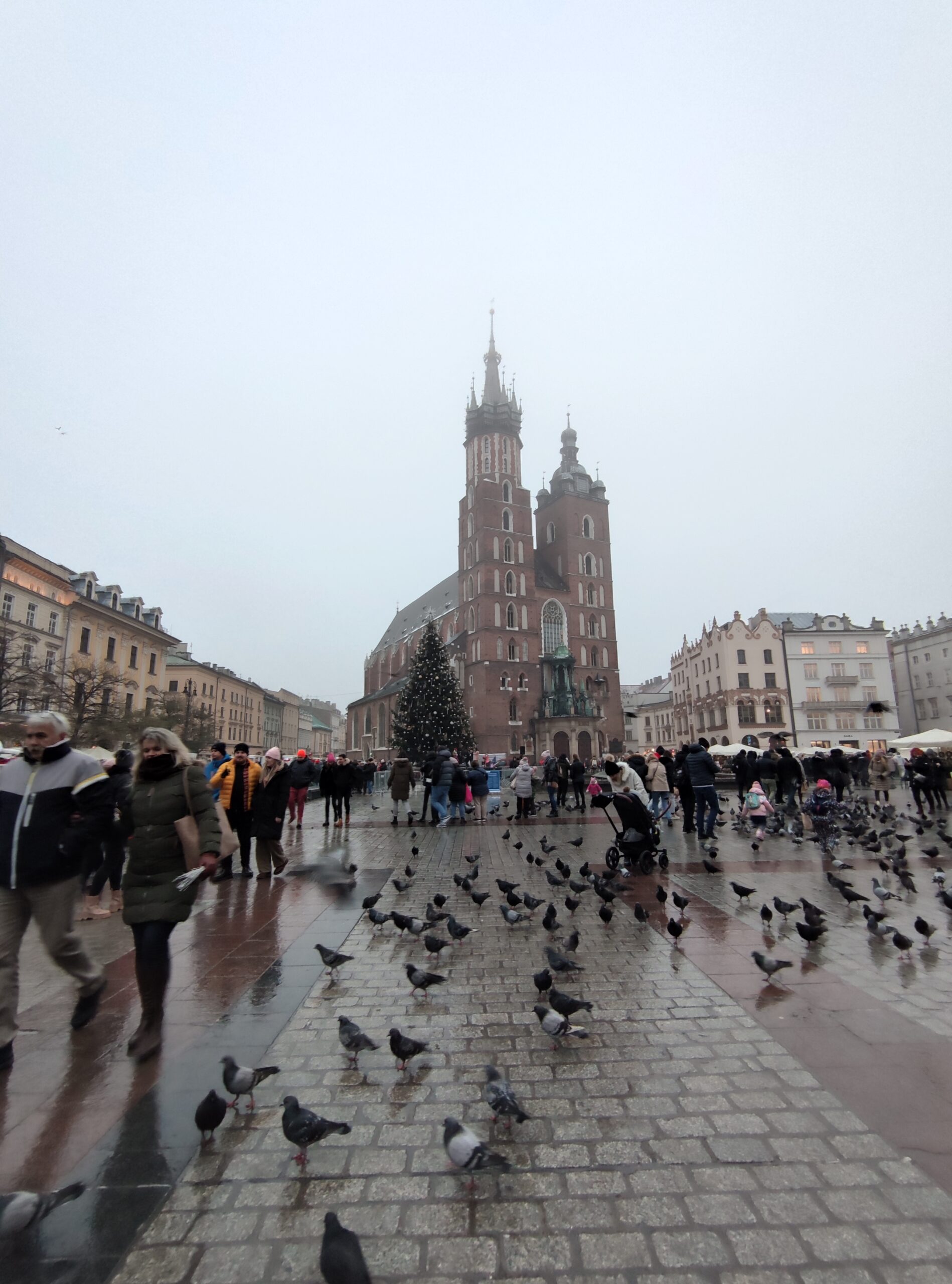 IMG_20221203_145704