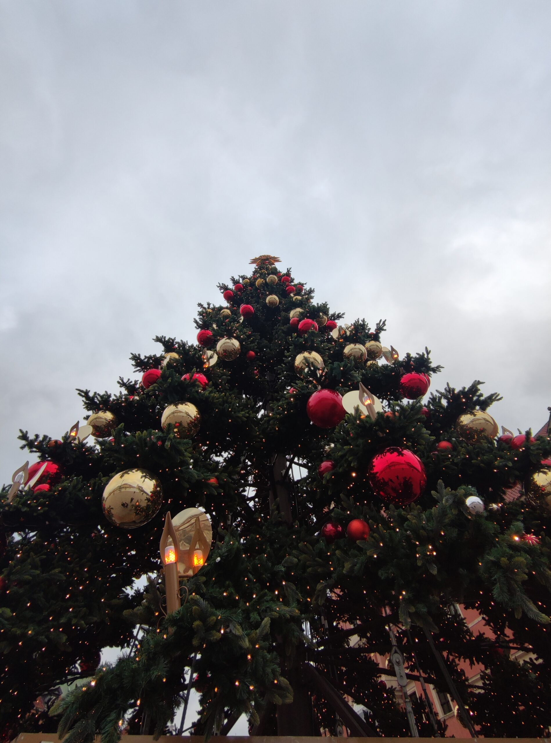 IMG_20221227_135526