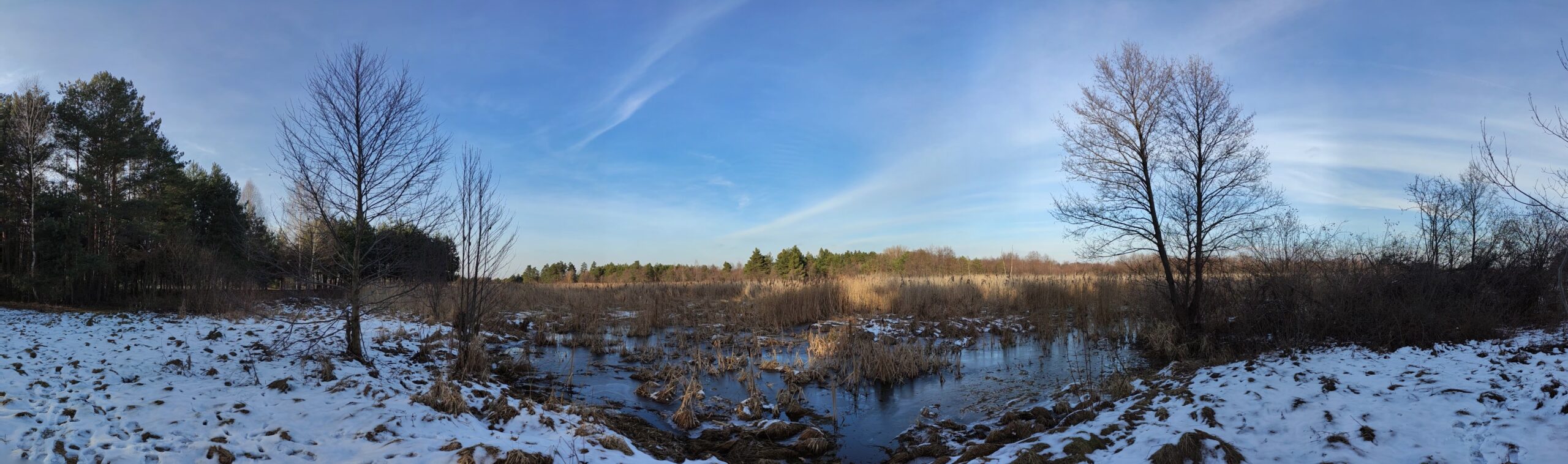 IMG_20230212_150853630.PANO