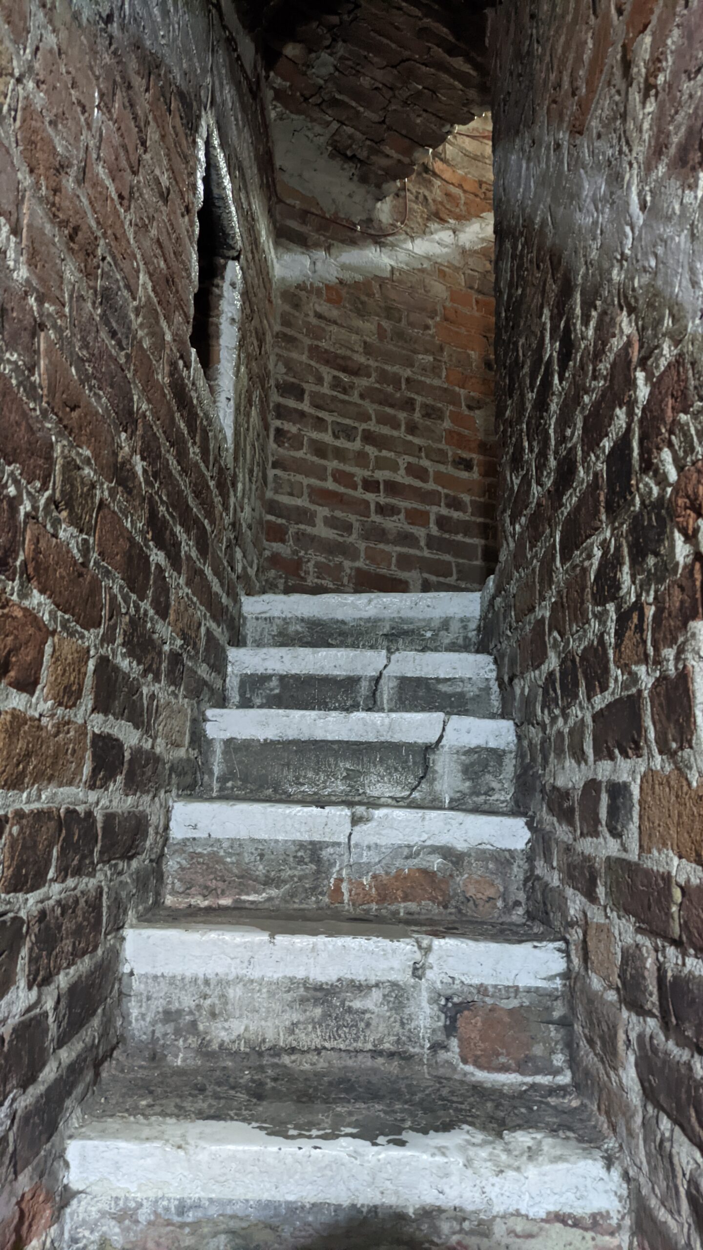 IMG_20230226_112622971