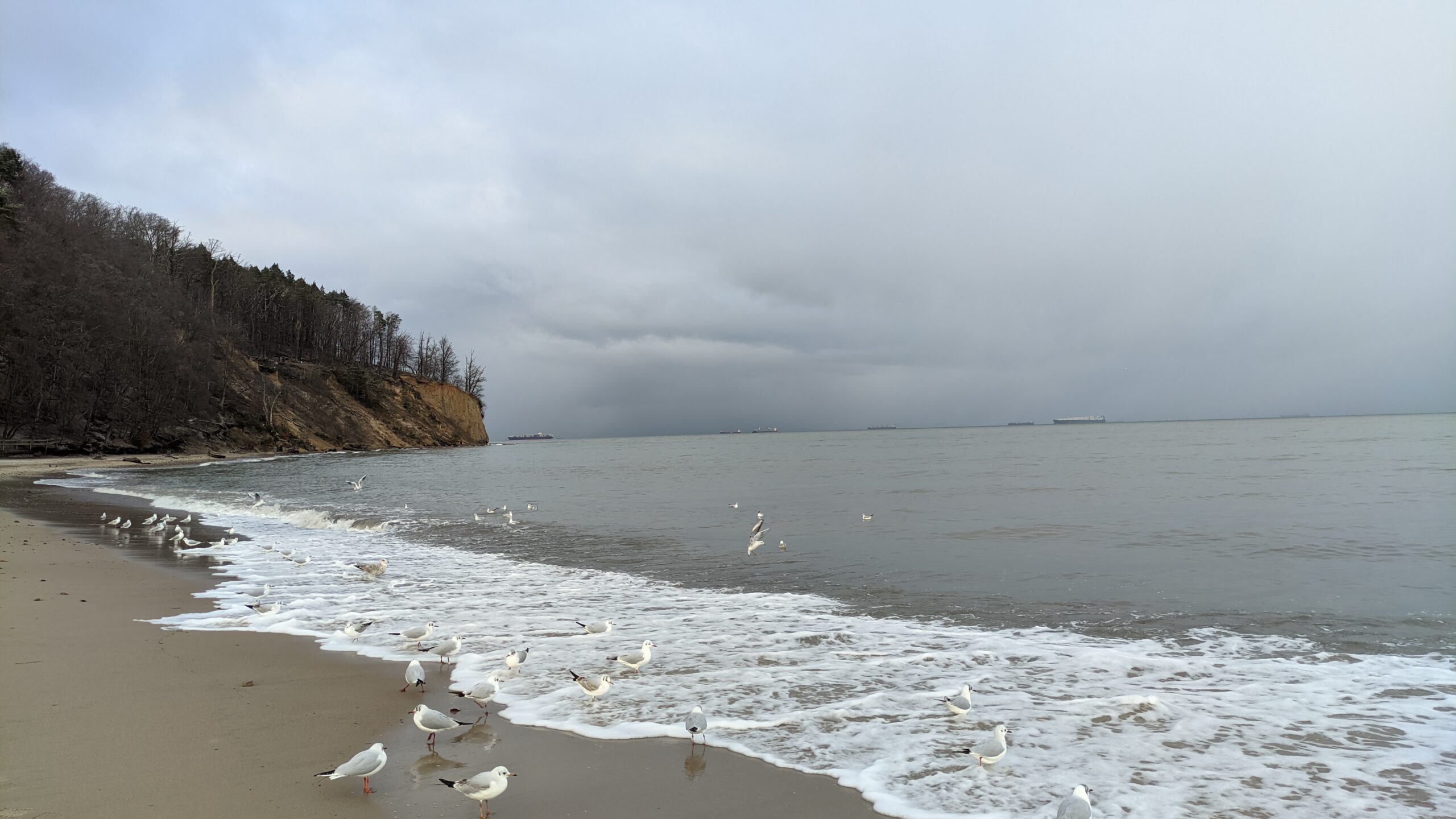 IMG_20230226_161034752