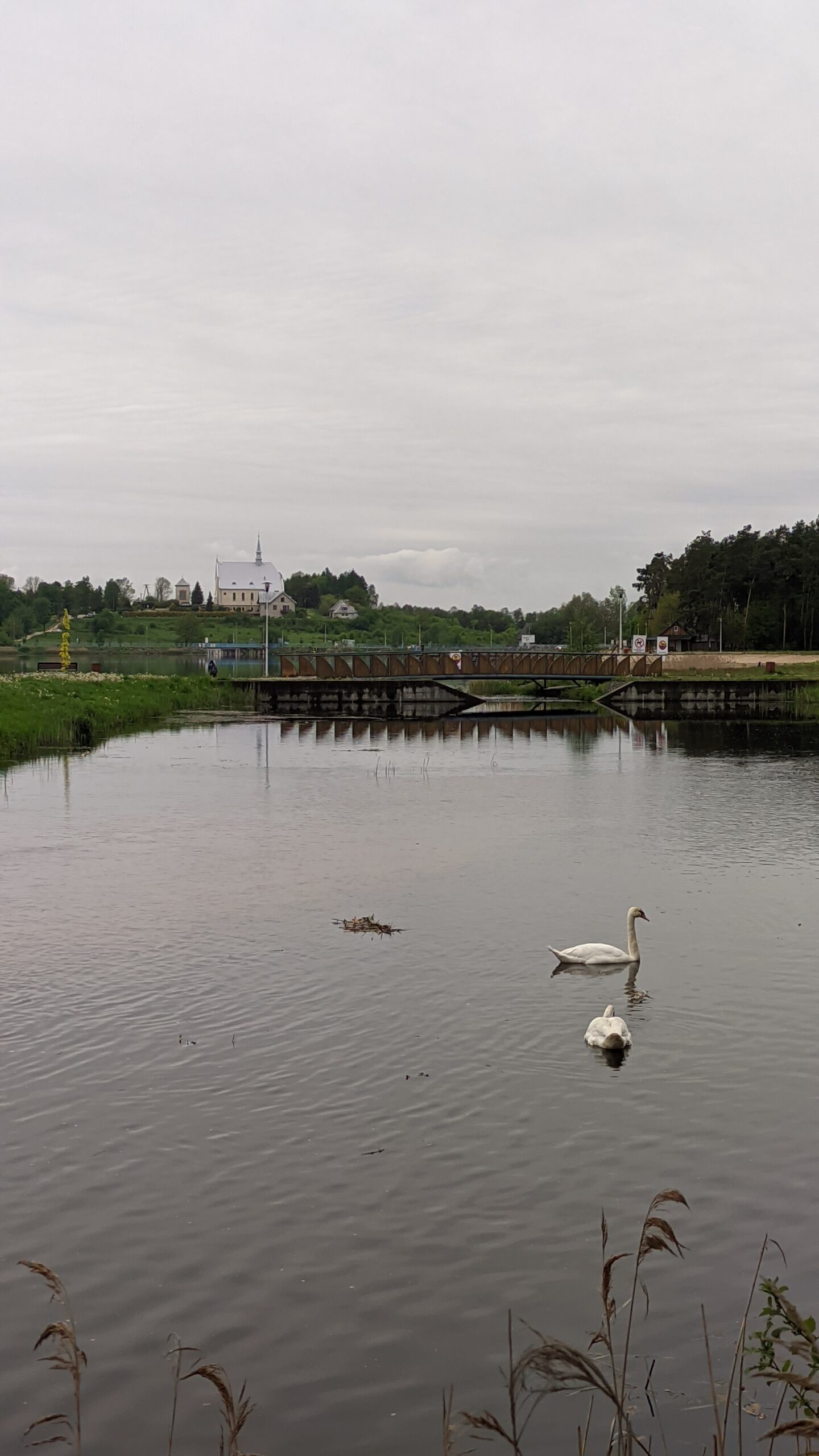 IMG_20230518_185734607