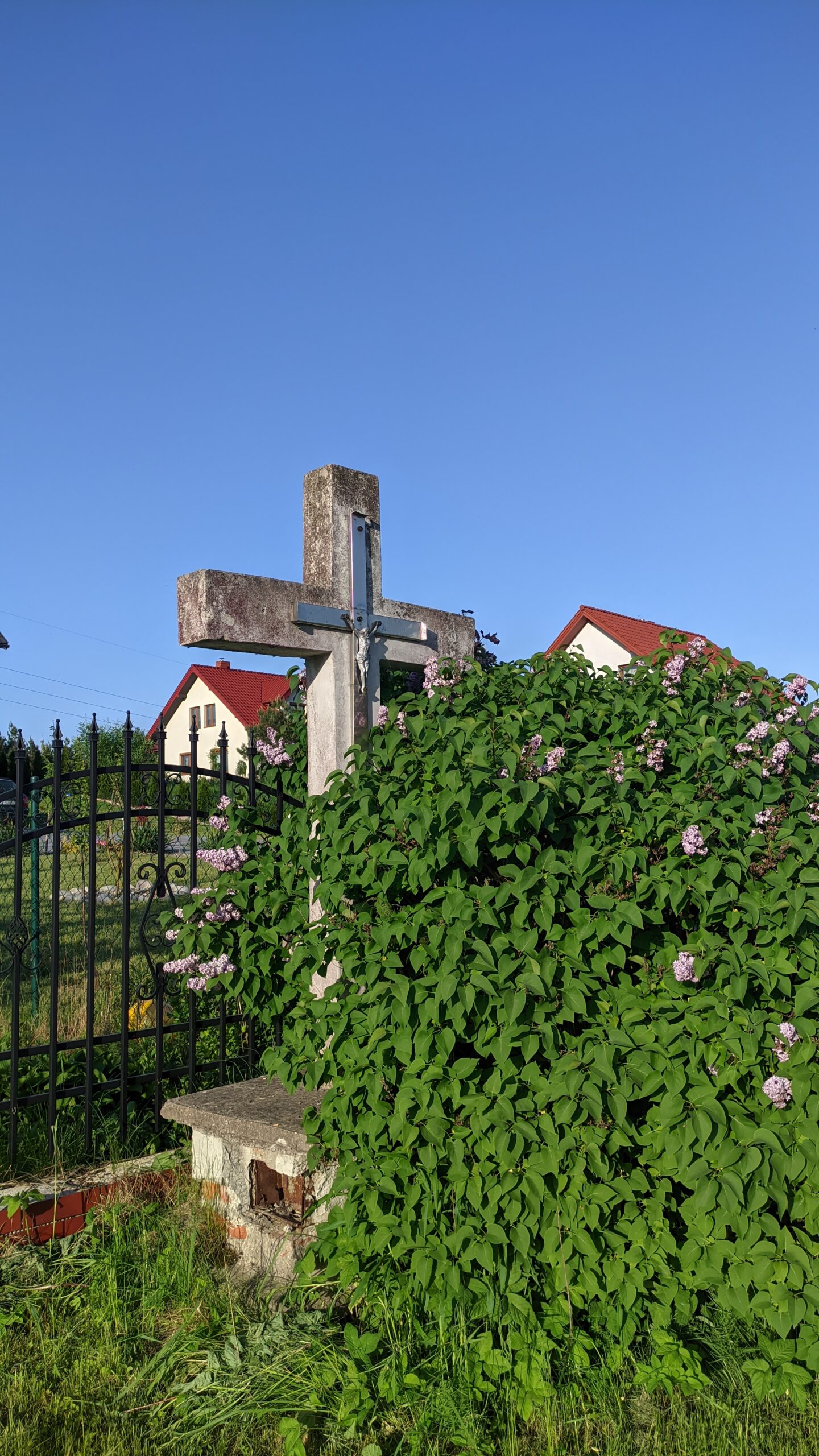 IMG_20230521_183156158