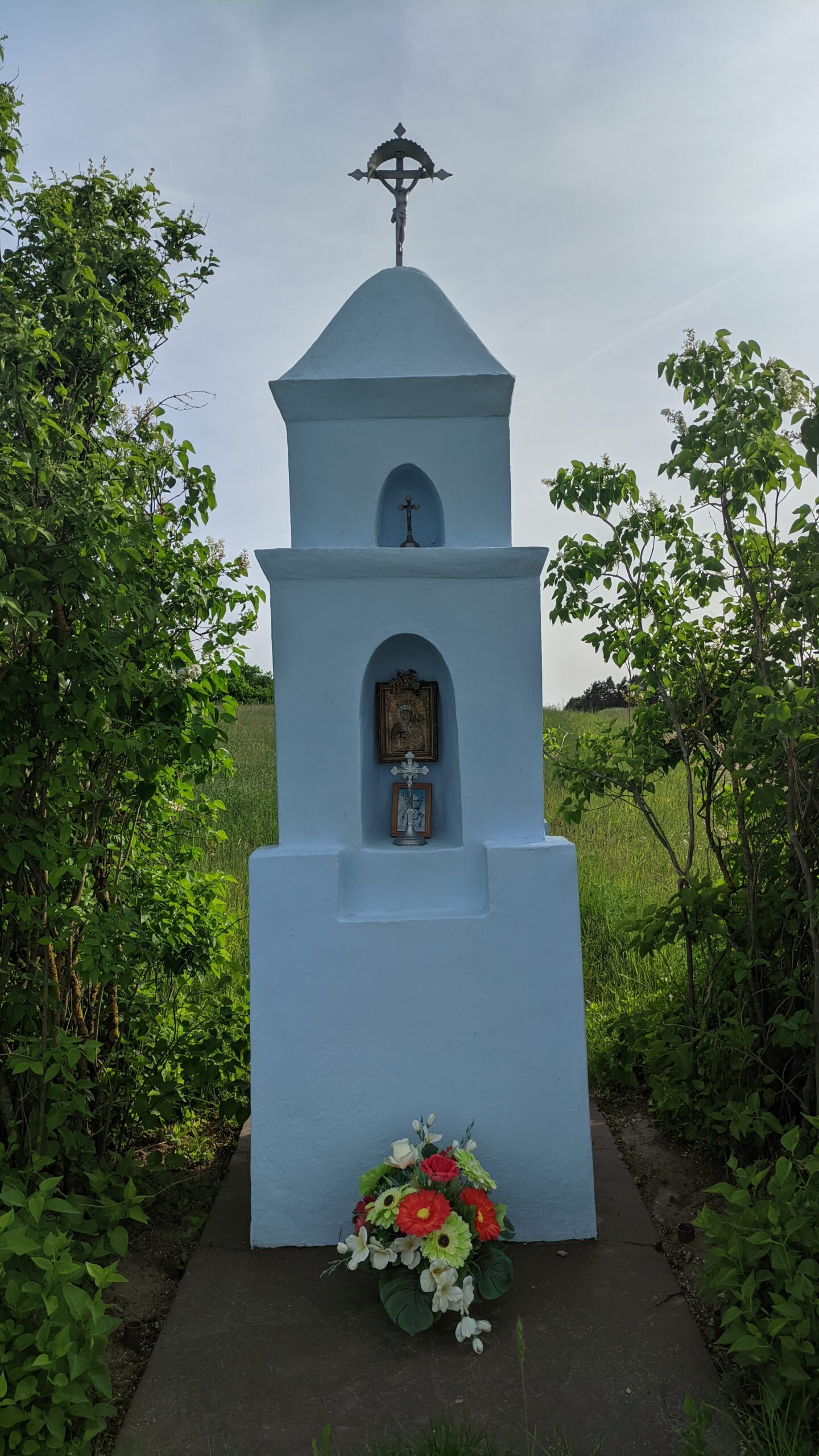 IMG_20230528_164207806