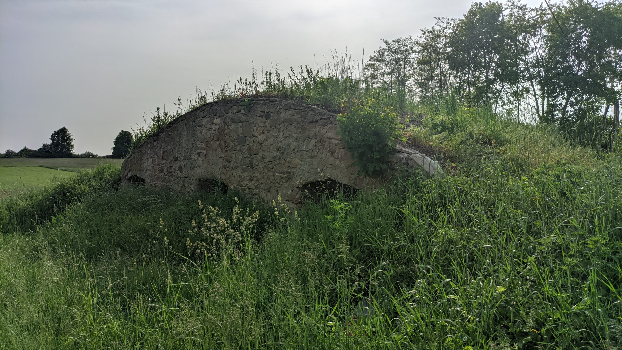 IMG_20230528_170556373