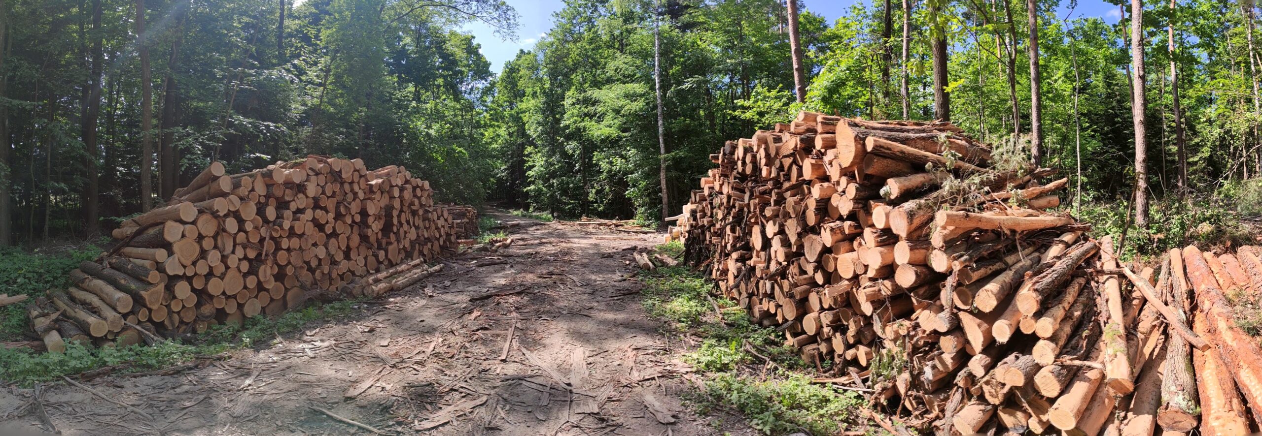 IMG_20230604_150602105.PANO