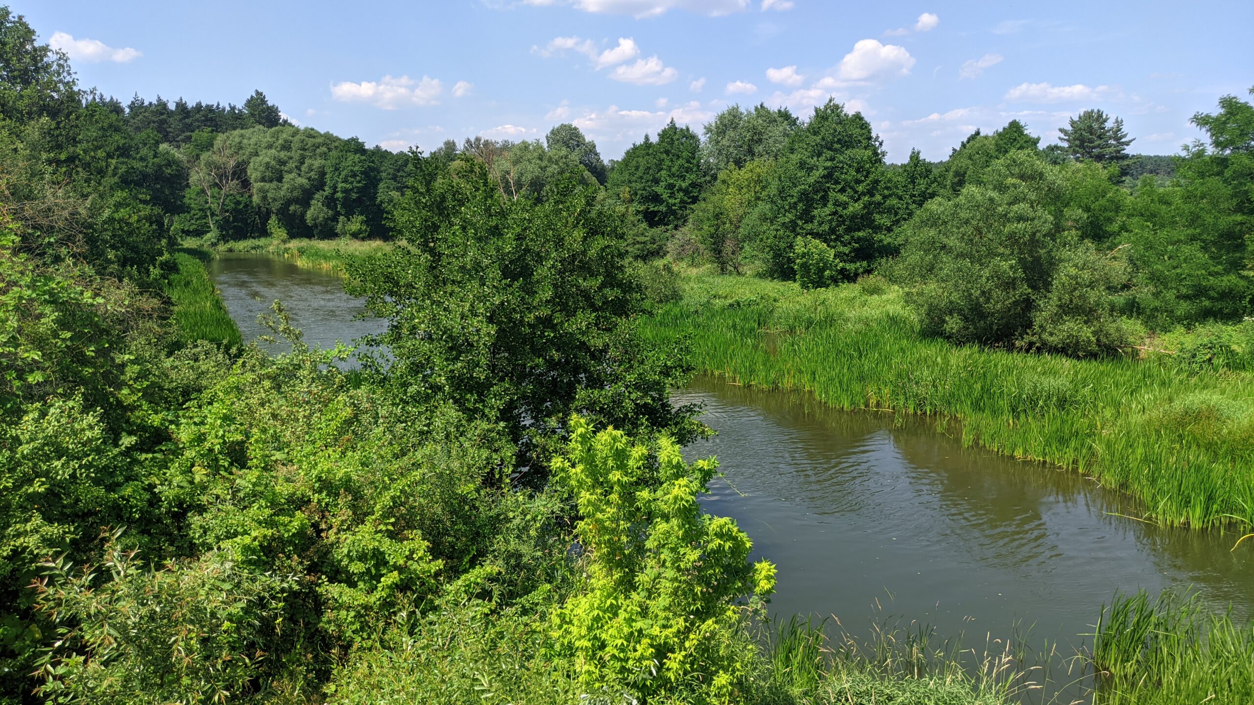 IMG_20230709_135319712