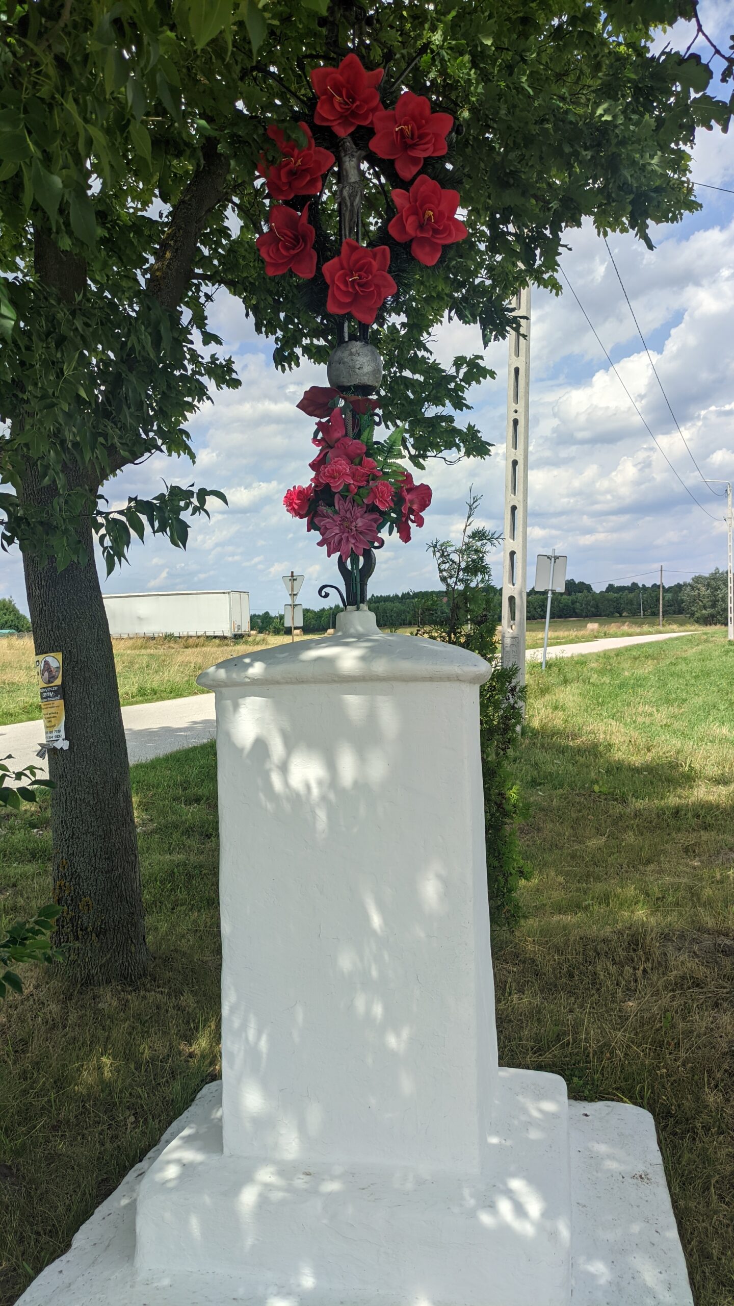 IMG_20230723_131829361