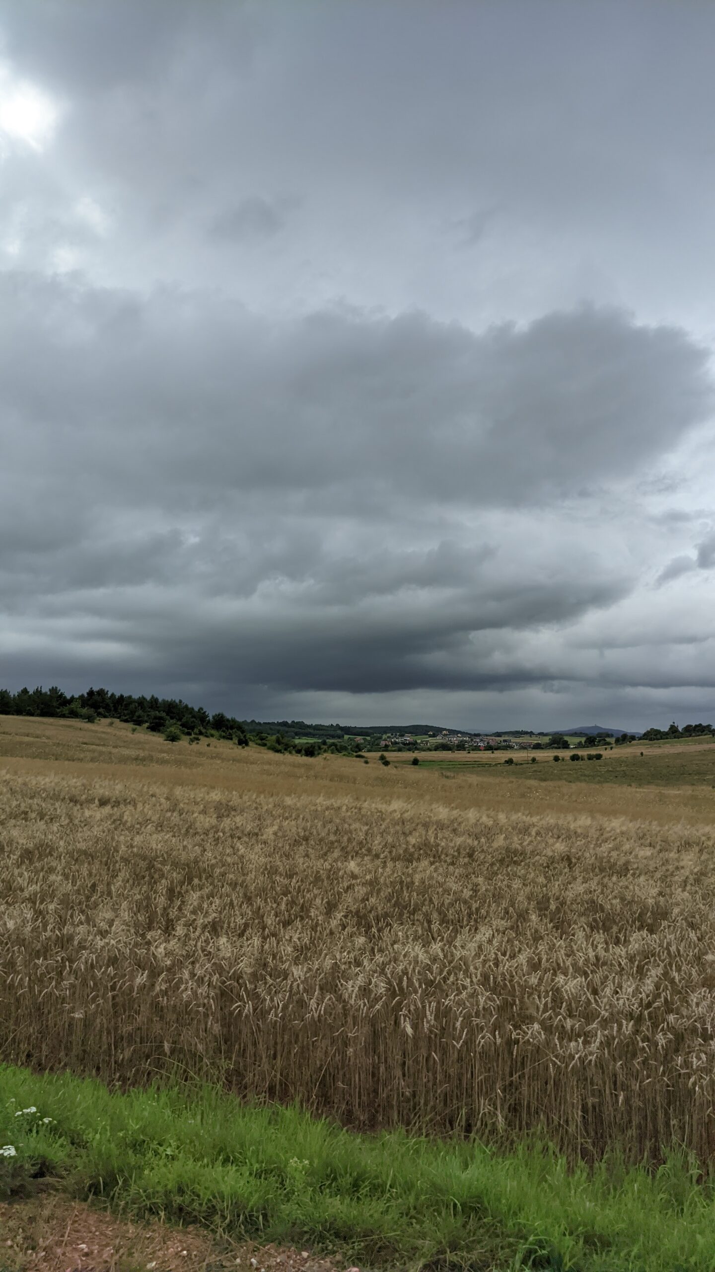 IMG_20230806_155528468