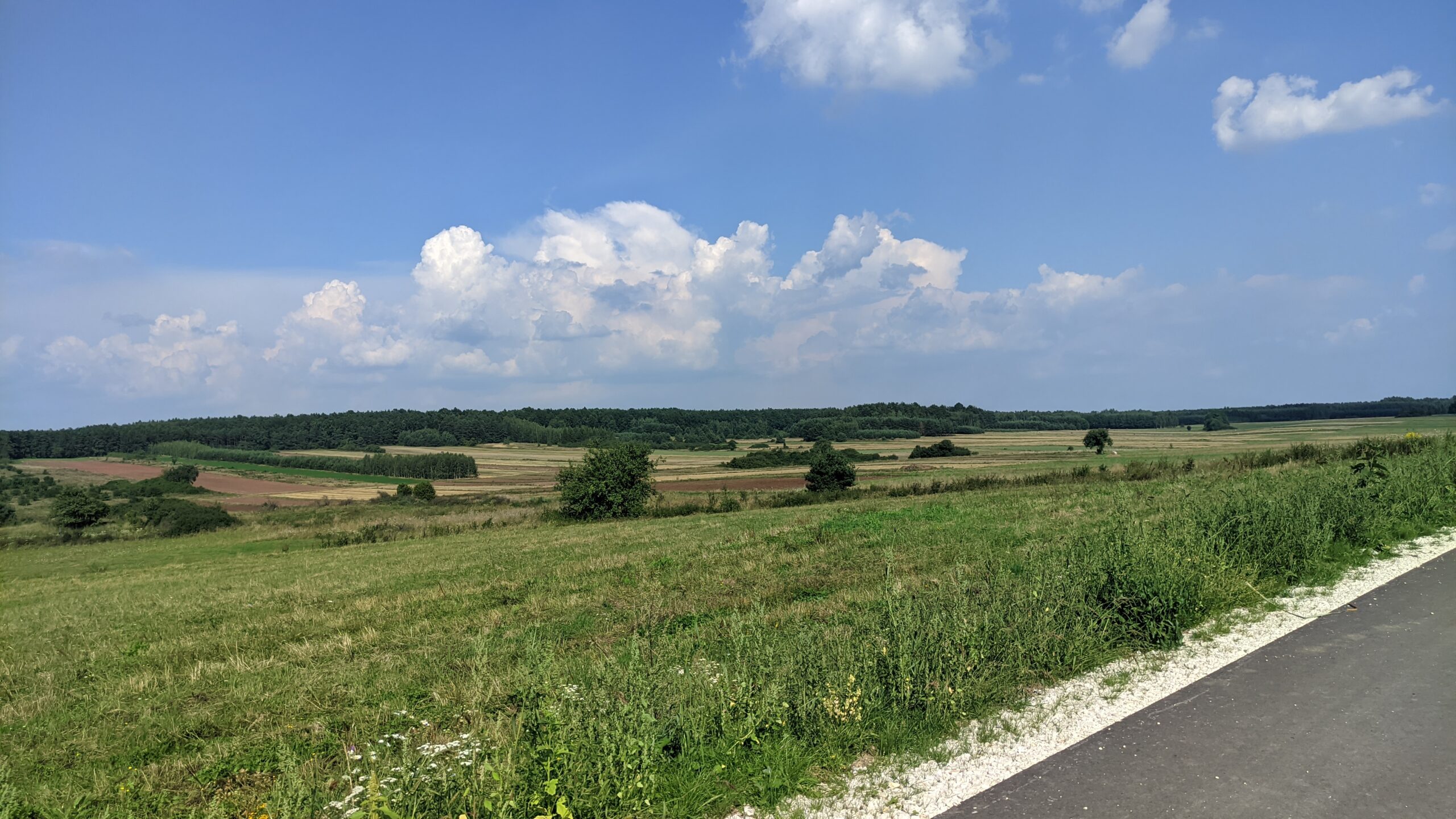 IMG_20230820_152605080