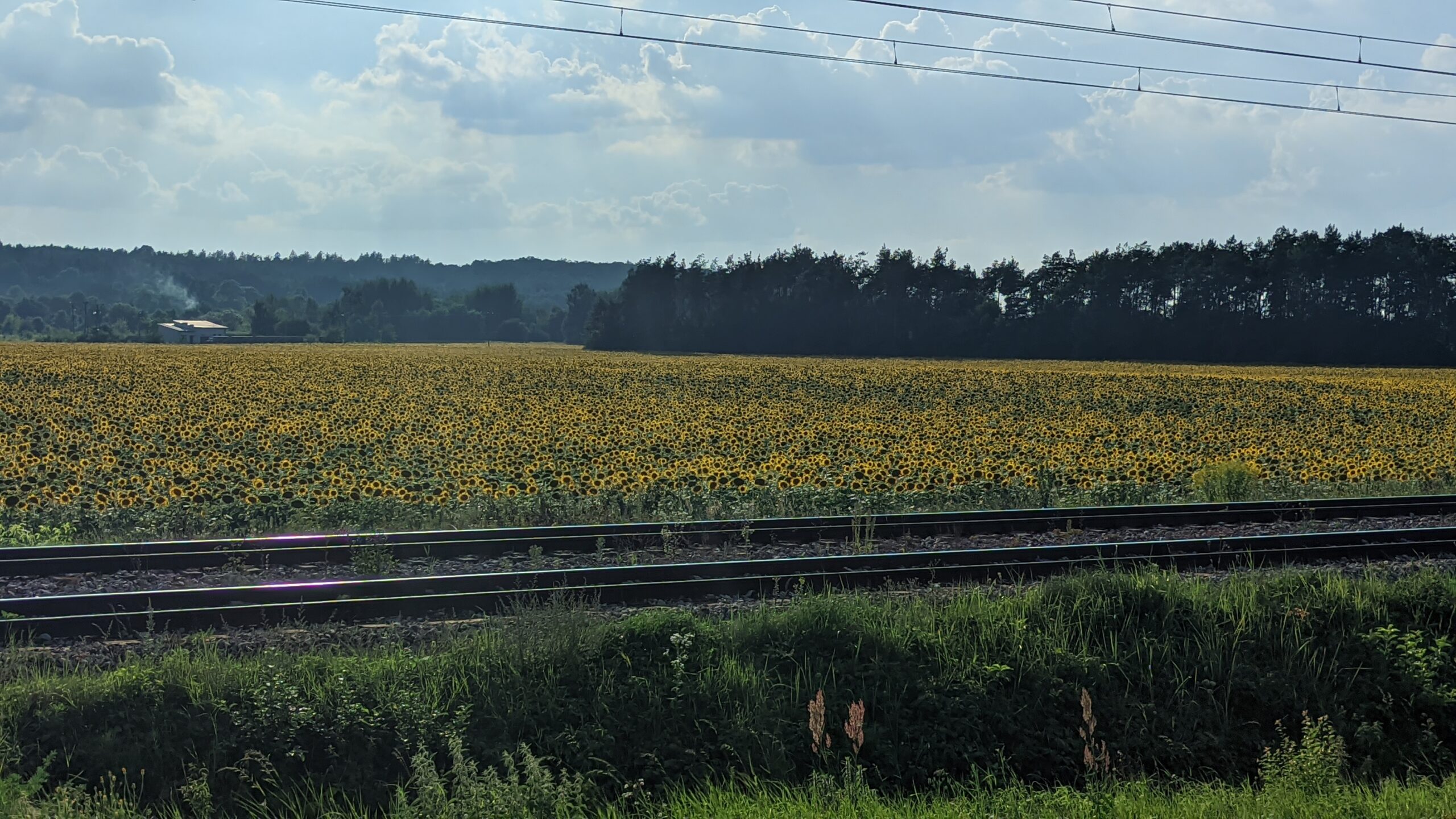IMG_20230820_171733673