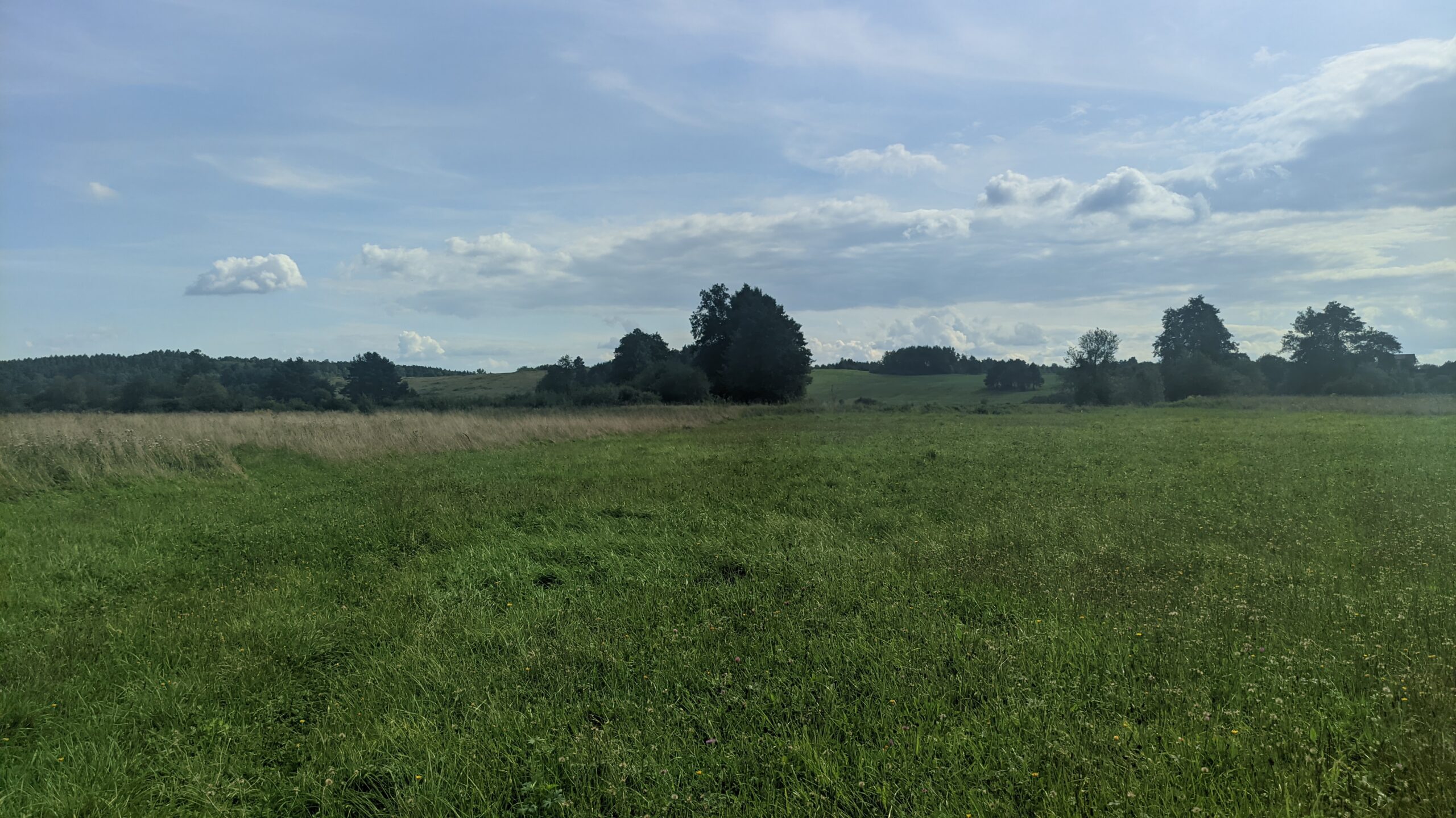 IMG_20230902_143846642