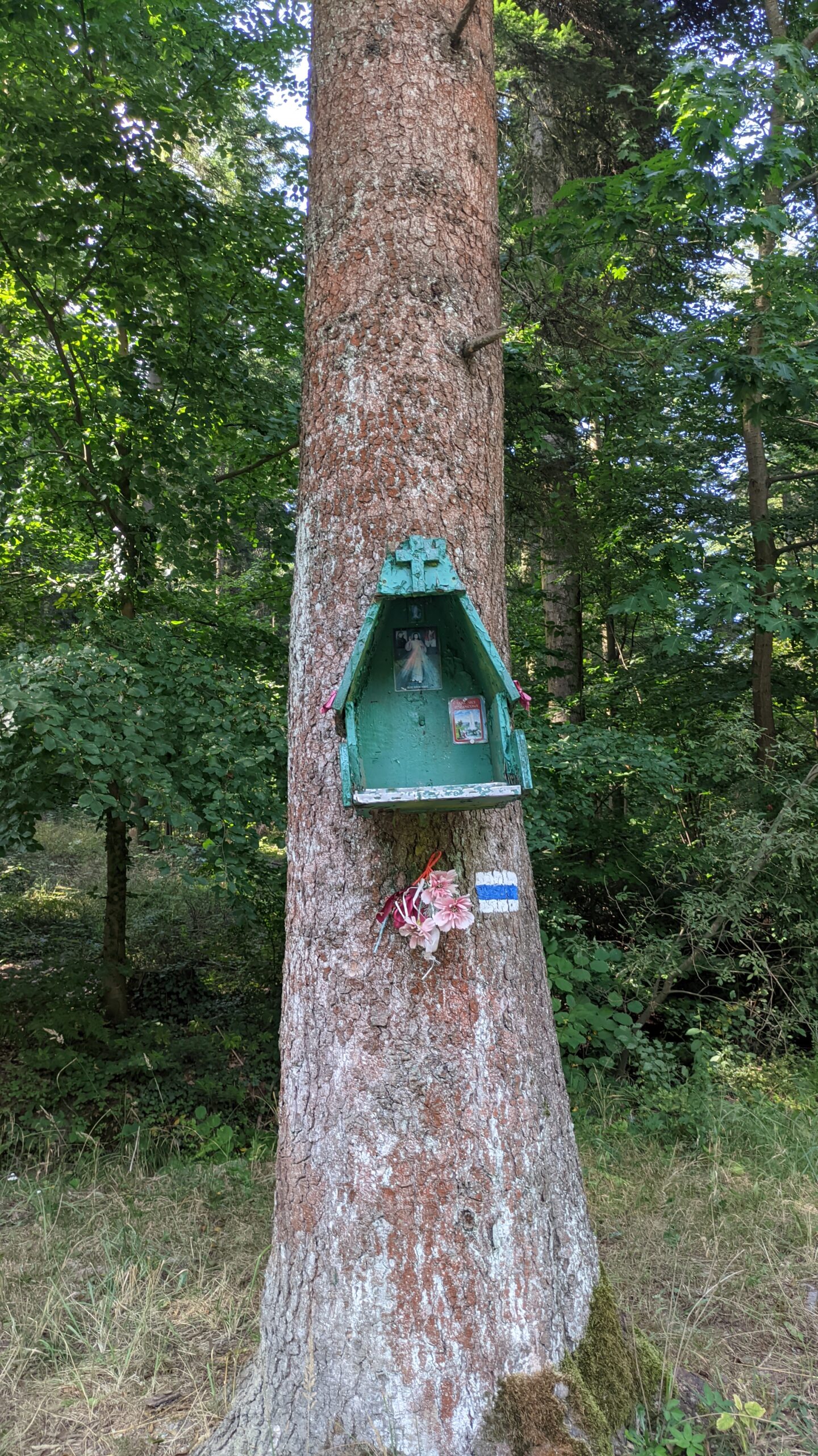IMG_20230917_133628156