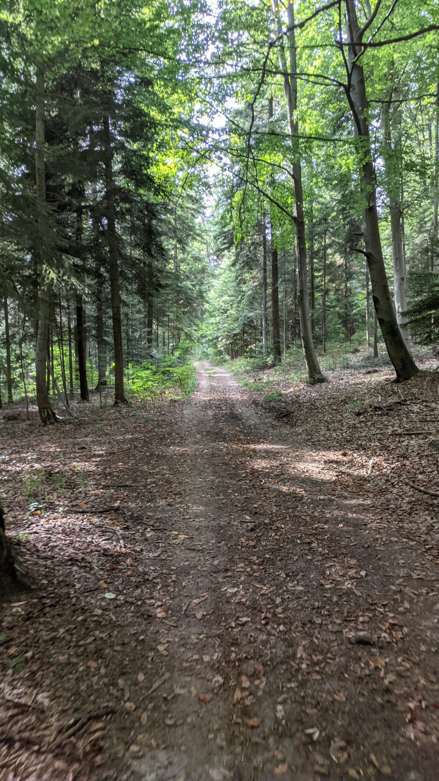 IMG_20231001_141946508