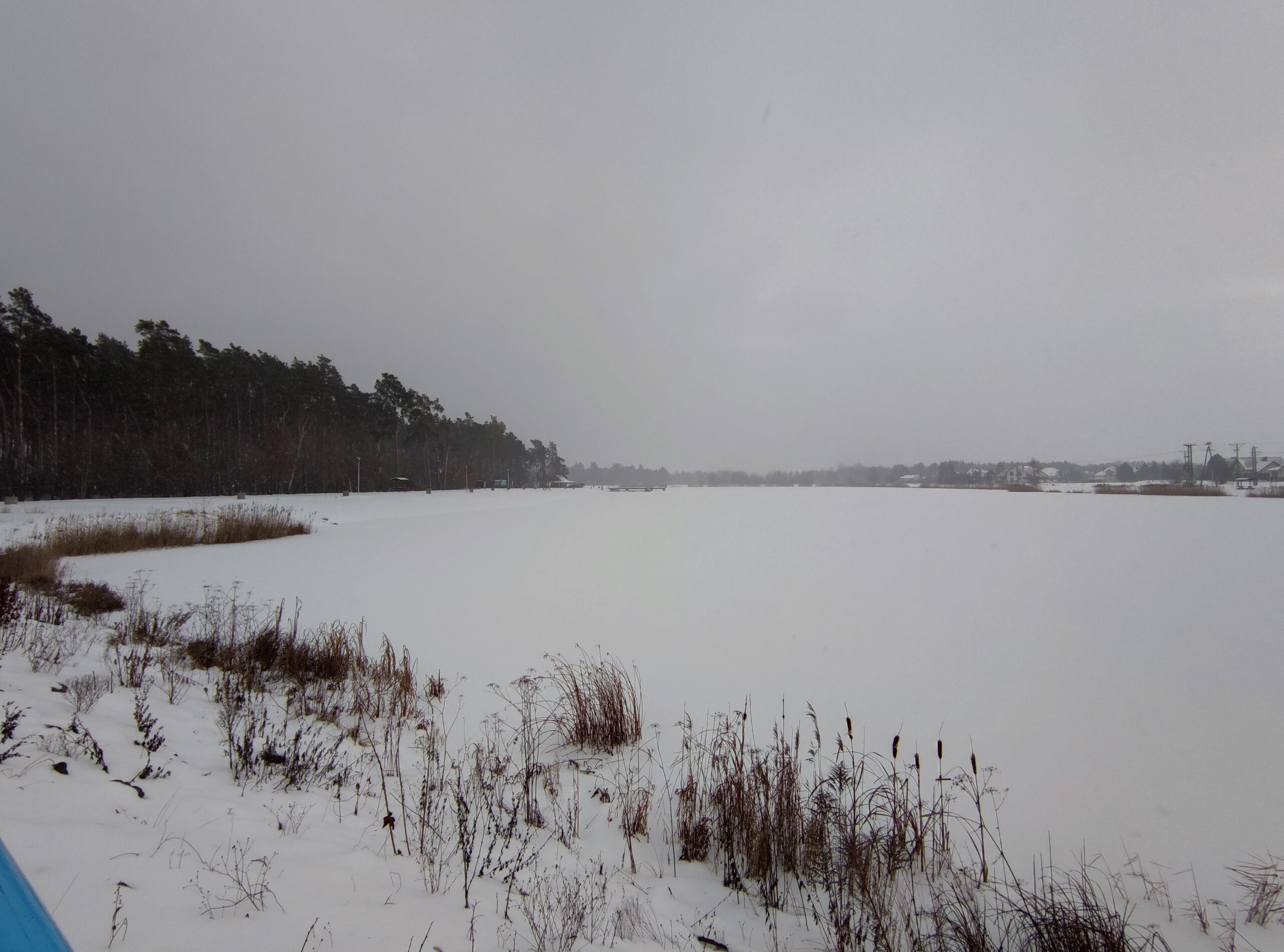 IMG_20240114_125534