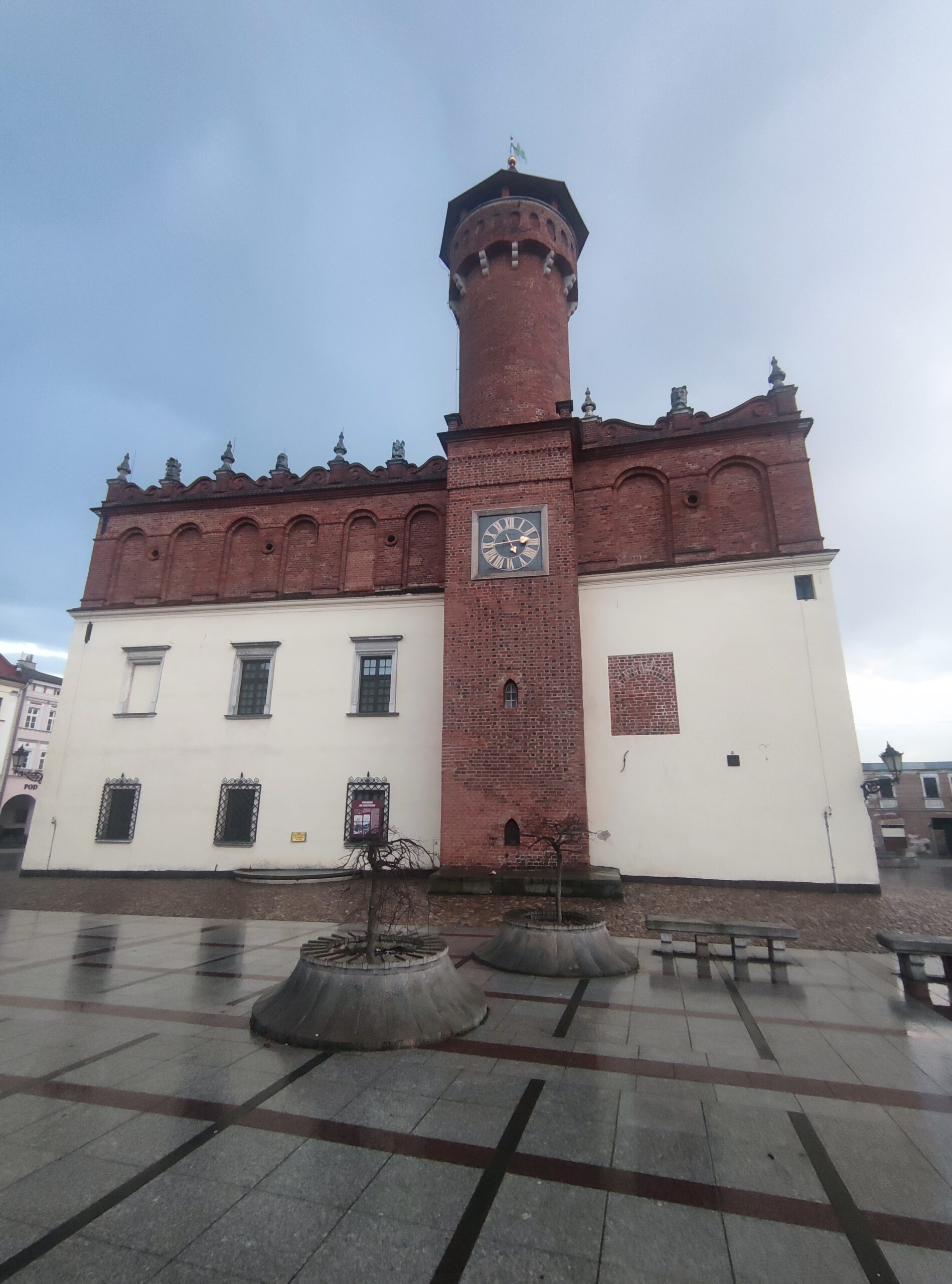 IMG_20240304_171241