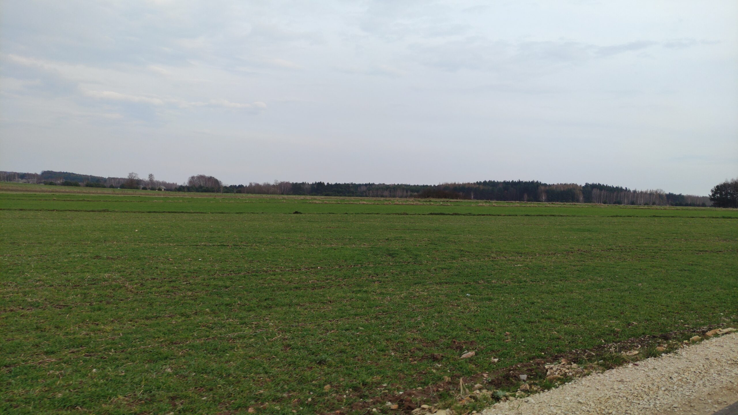 IMG_20240316_160115793.MP