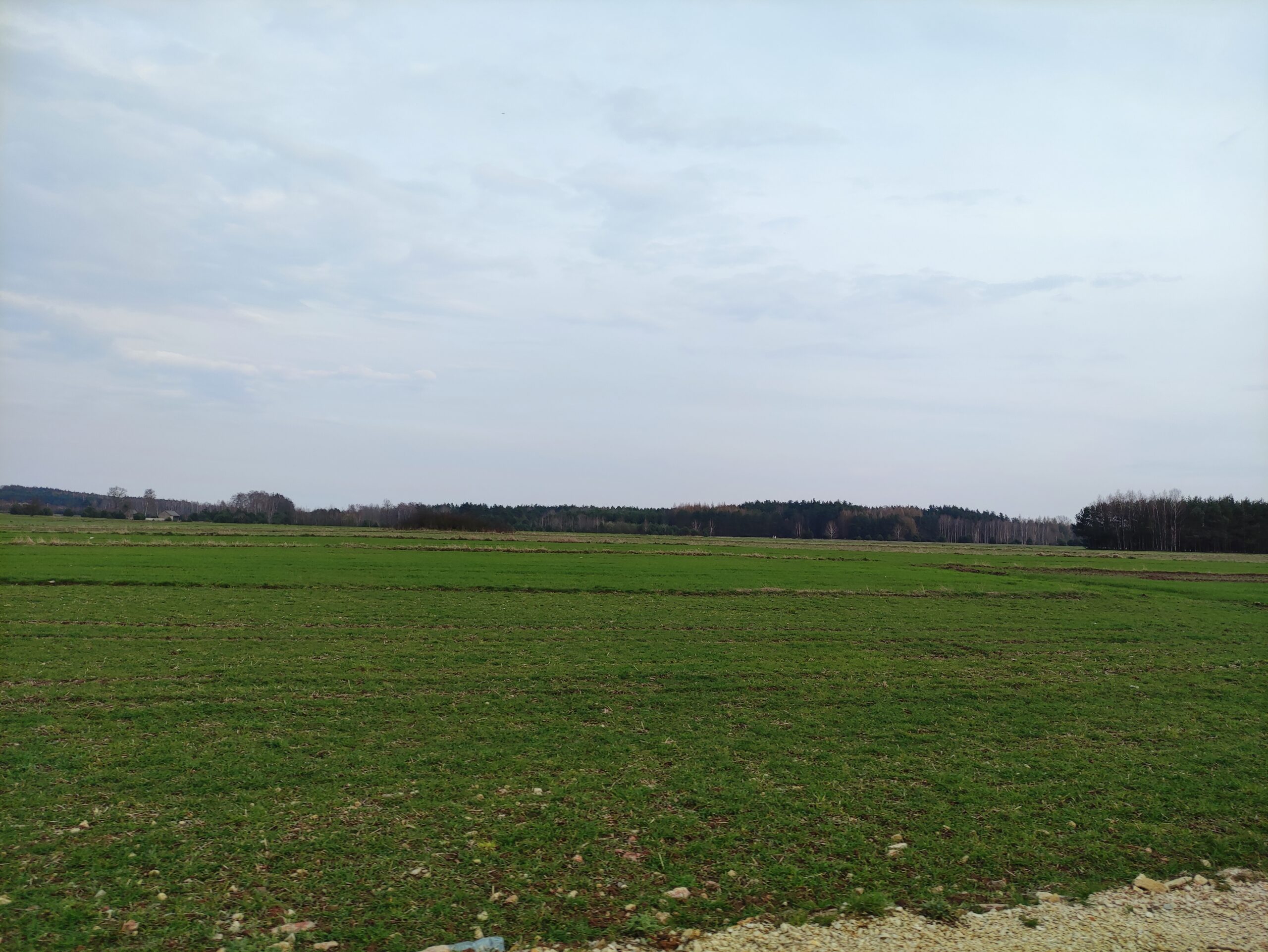 IMG_20240316_160125