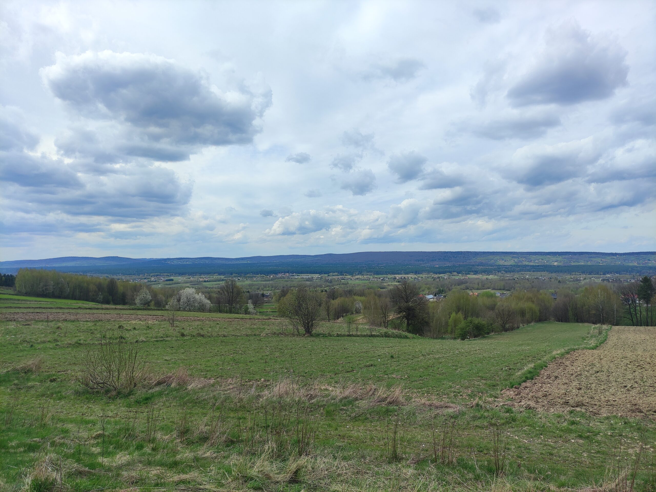 IMG_20240406_155656