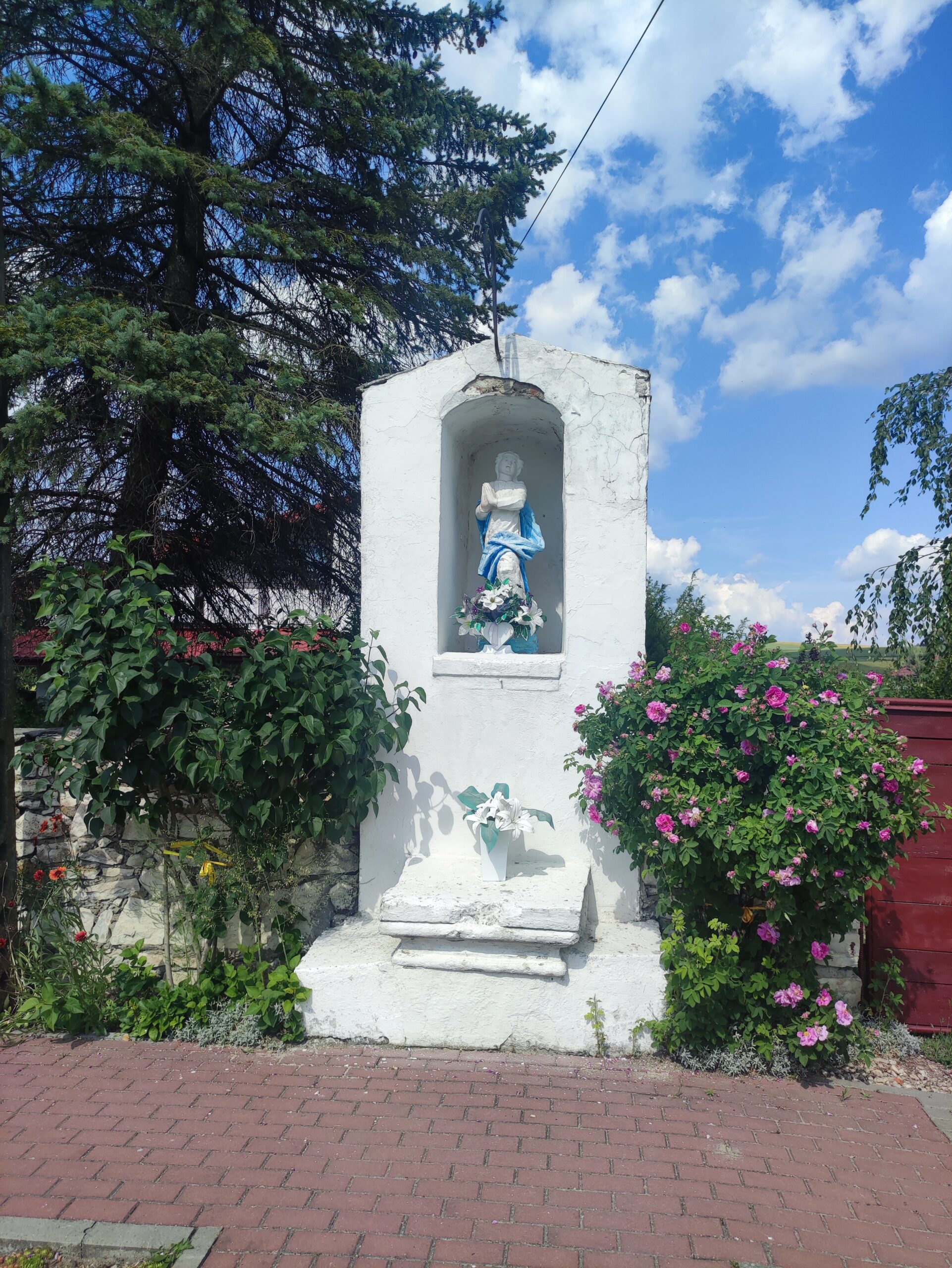 IMG_20240530_154130