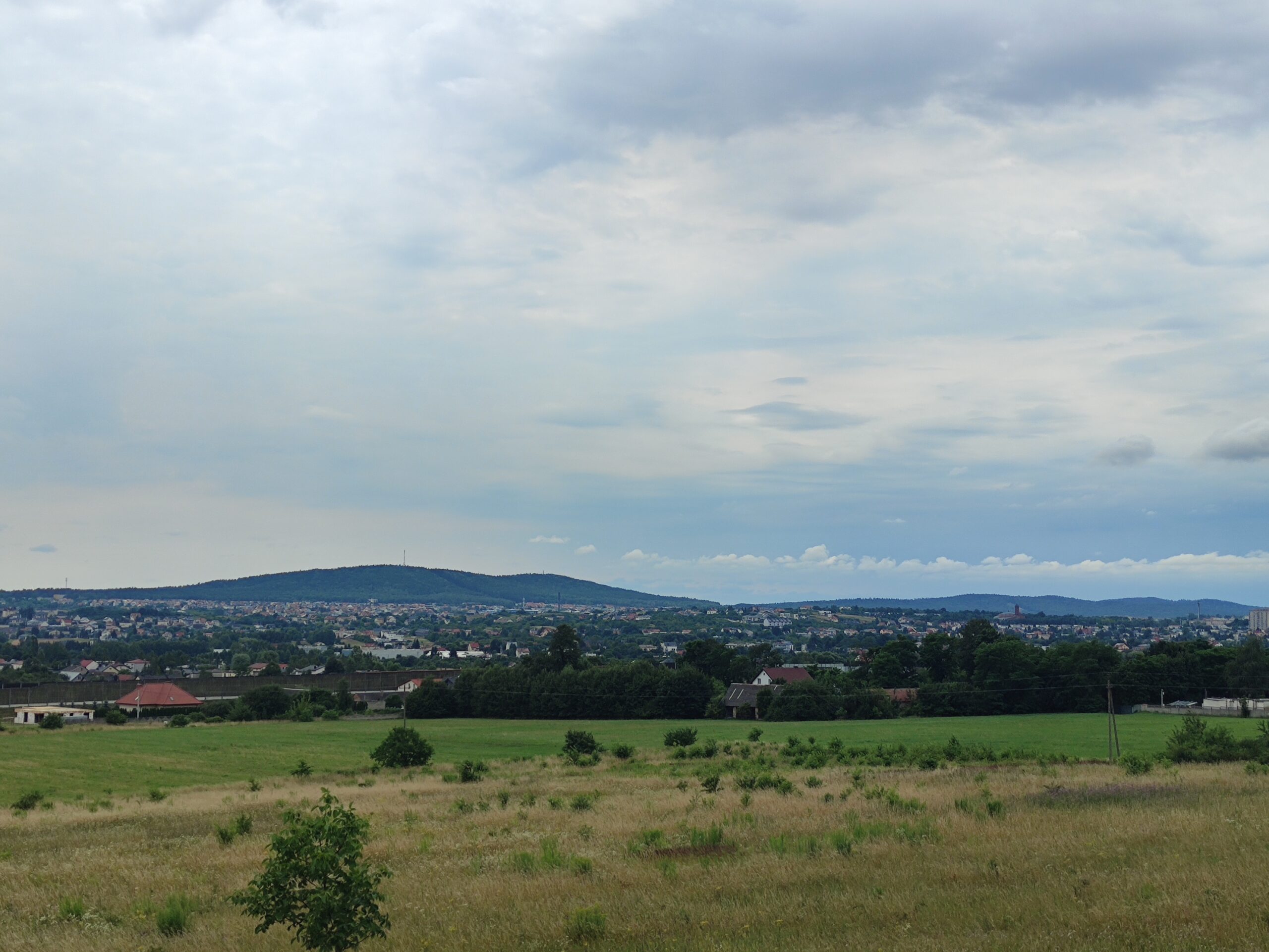 IMG_20240707_132508