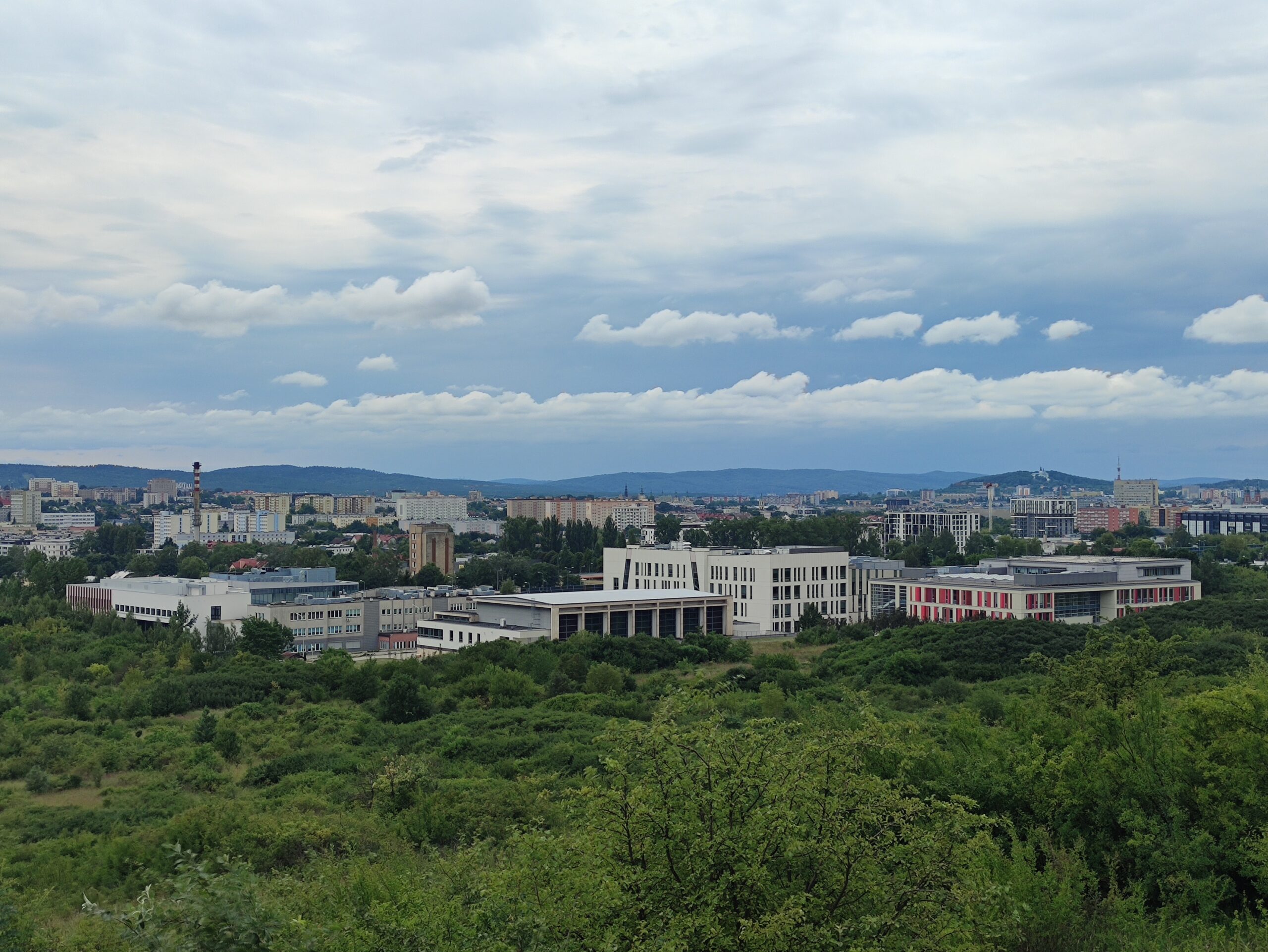 IMG_20240707_133640