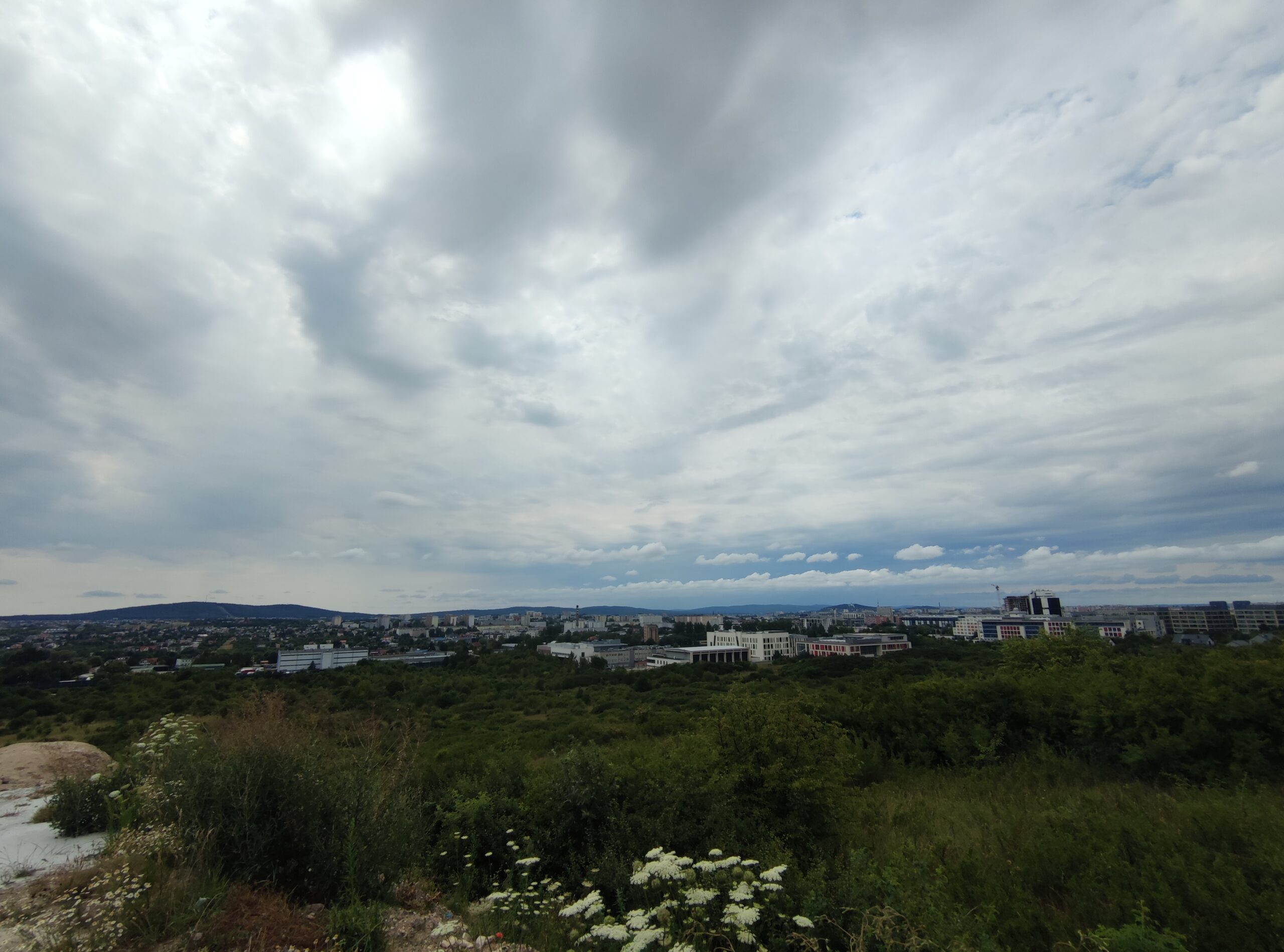IMG_20240707_133645