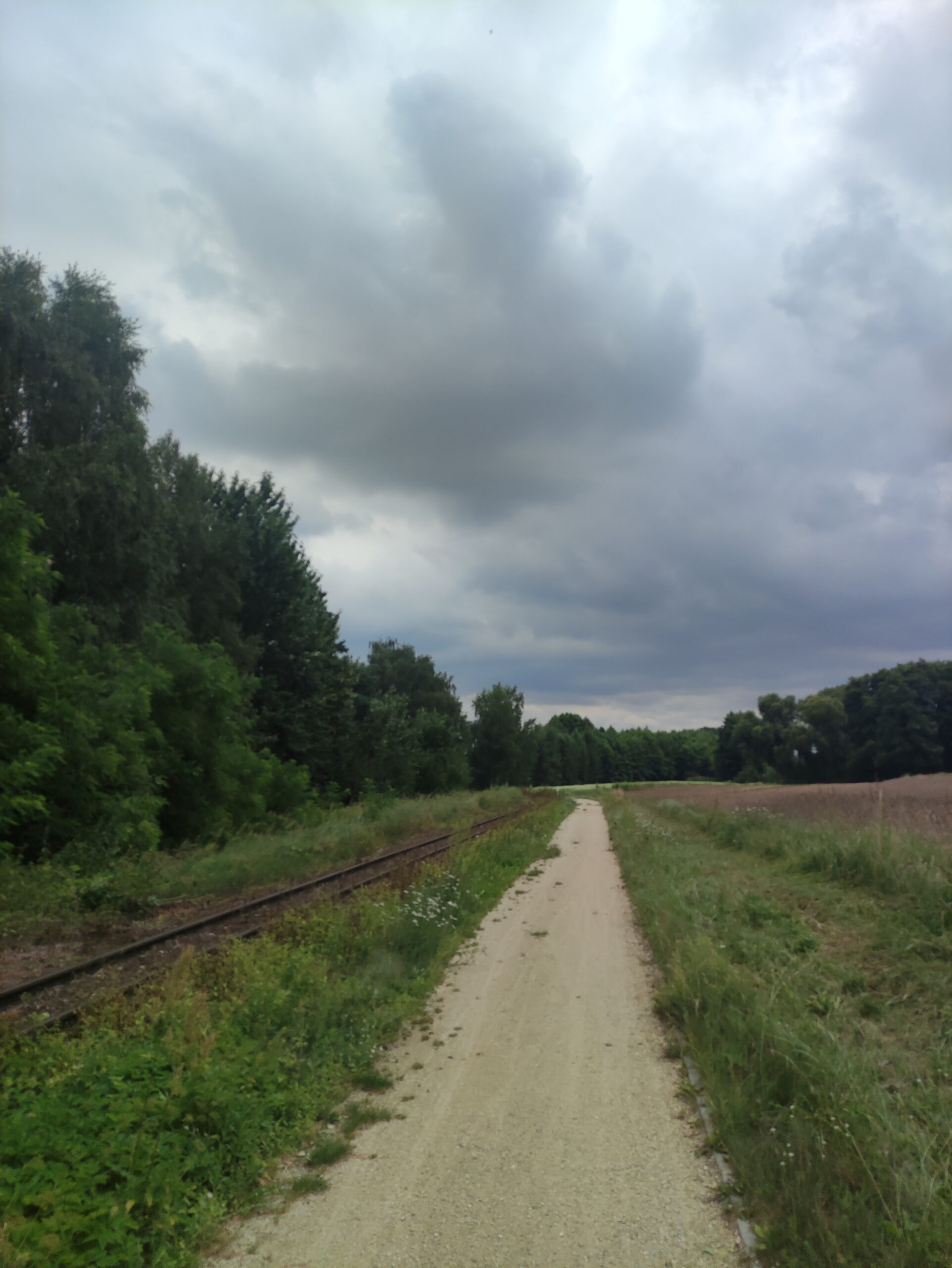 IMG_20240714_140609