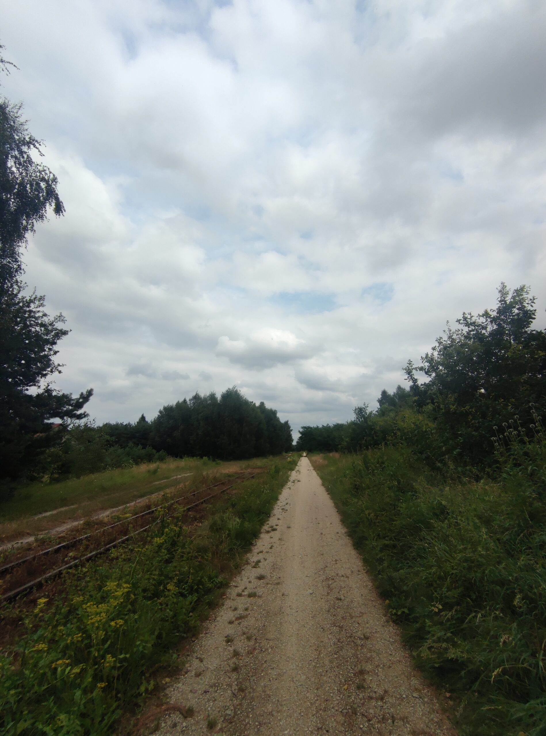 IMG_20240714_140954