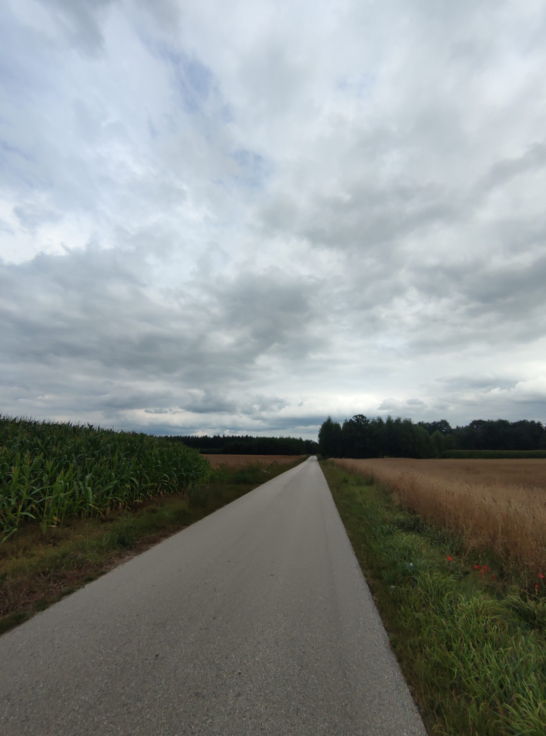 IMG_20240714_143535