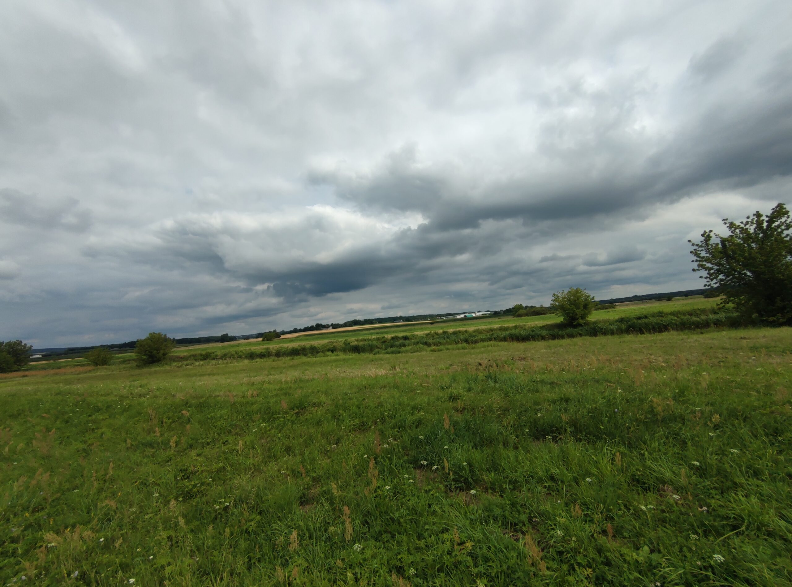 IMG_20240714_150903