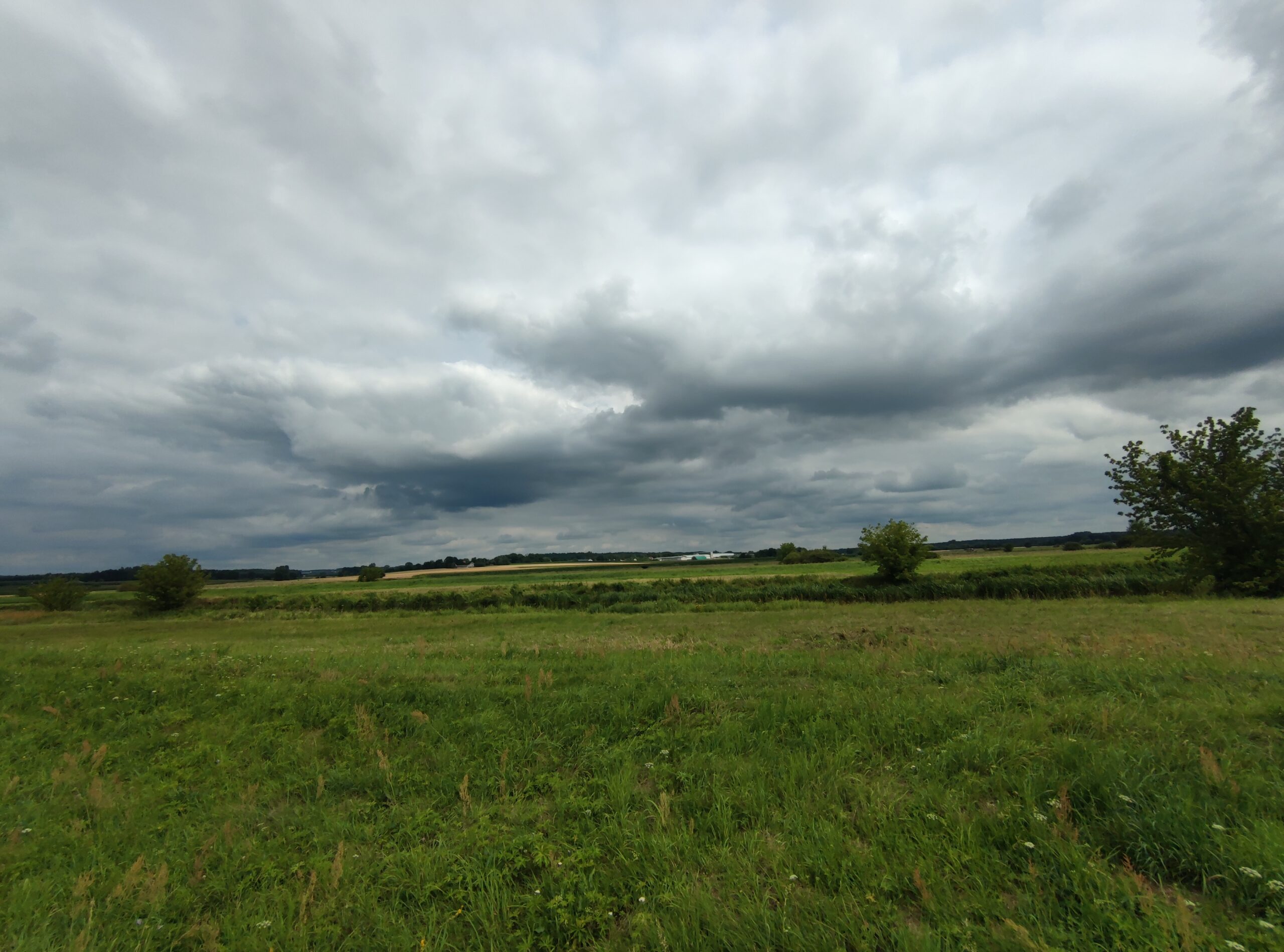 IMG_20240714_150904
