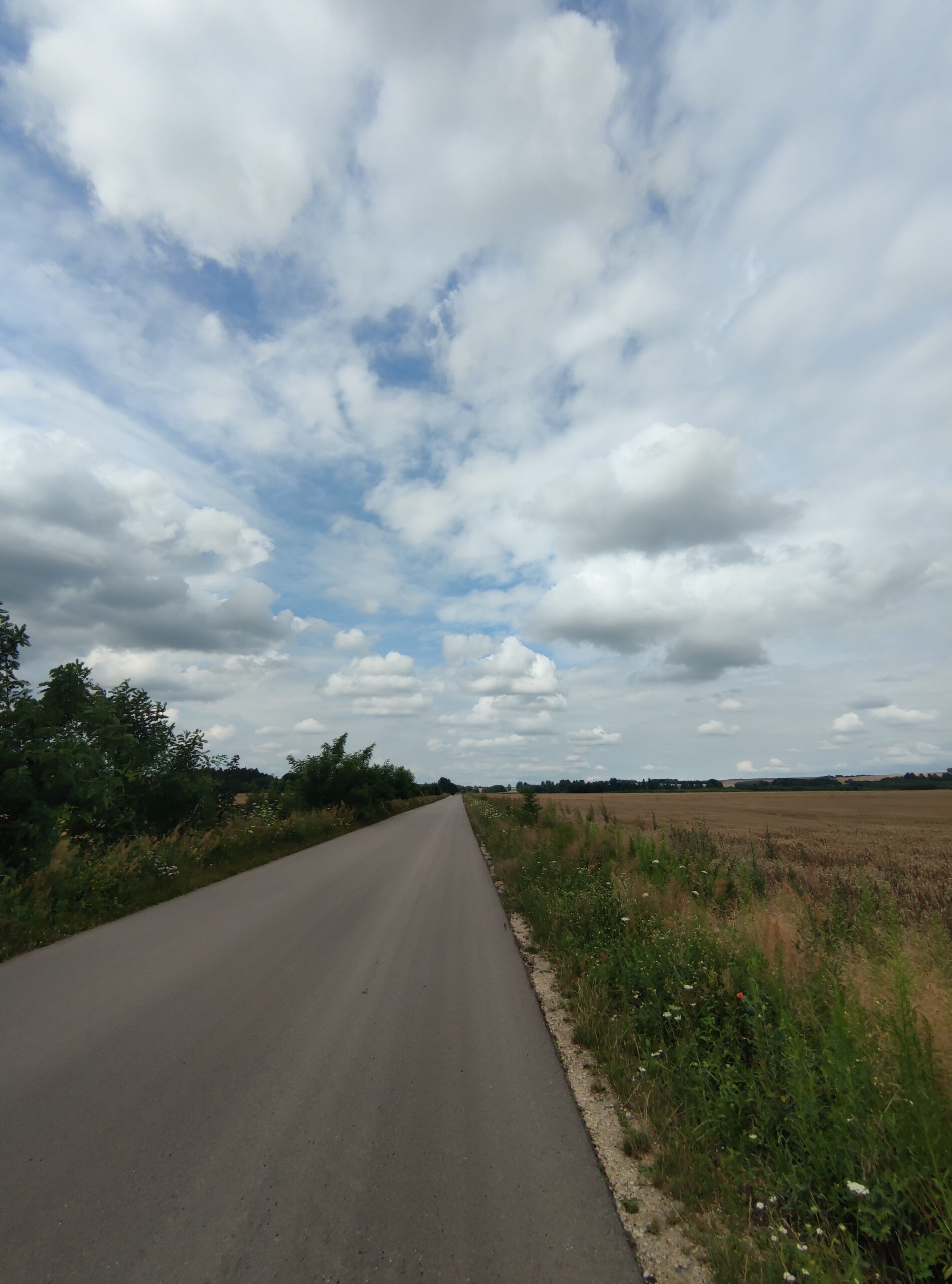 IMG_20240714_151611