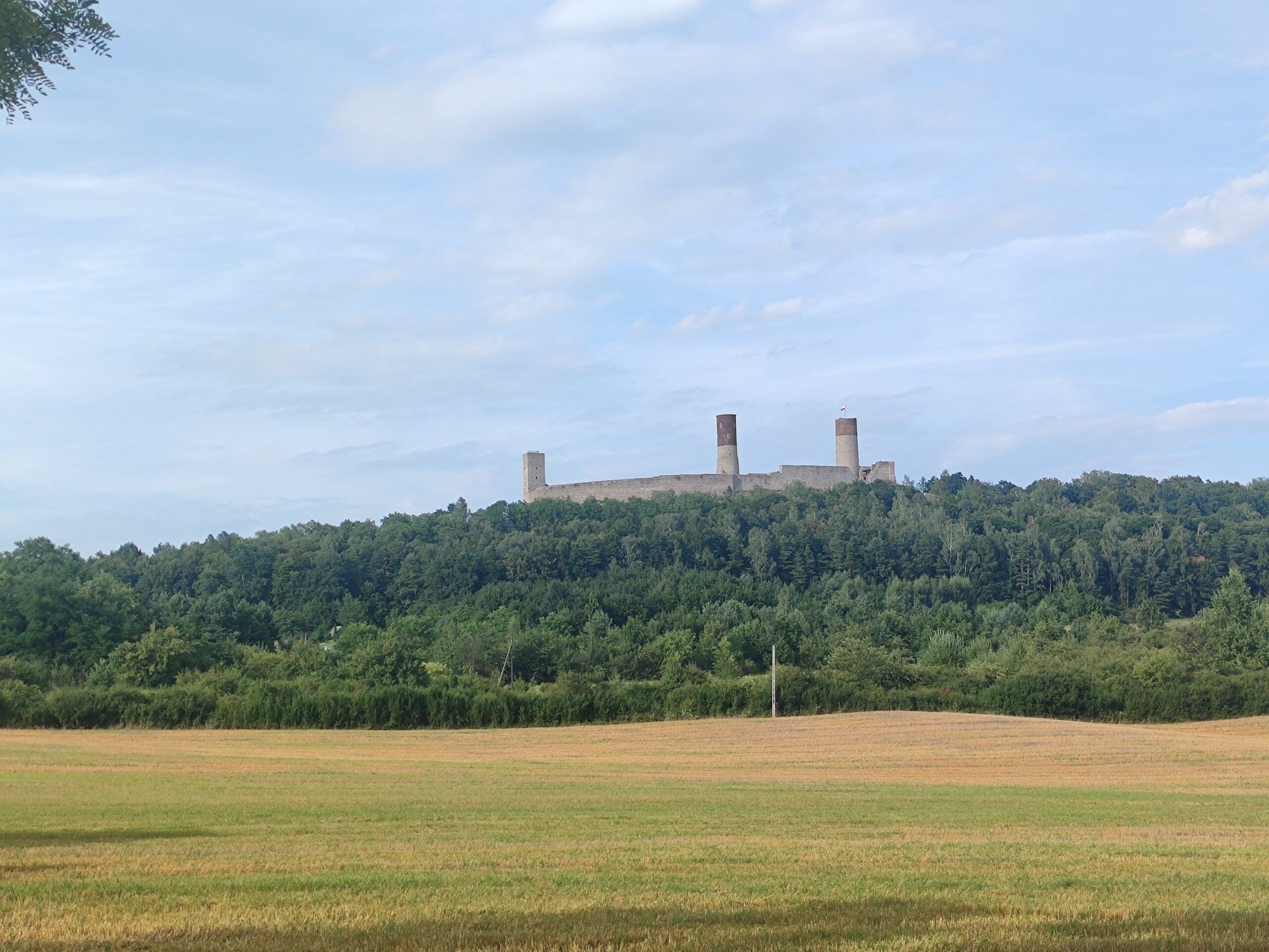 IMG_20240727_174507
