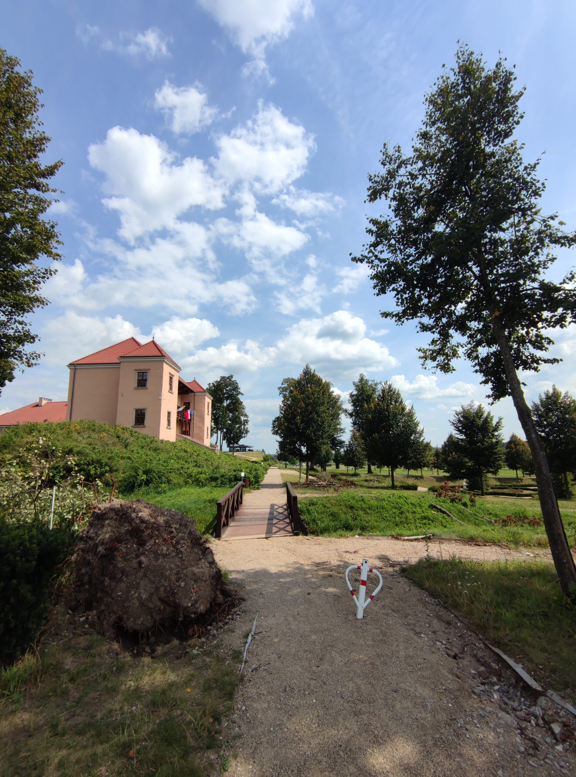 IMG_20240804_135043