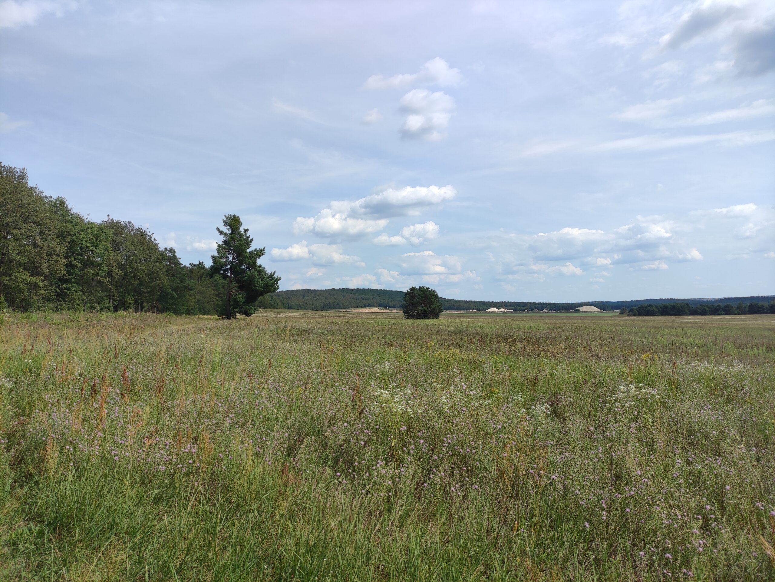 IMG_20240804_142603