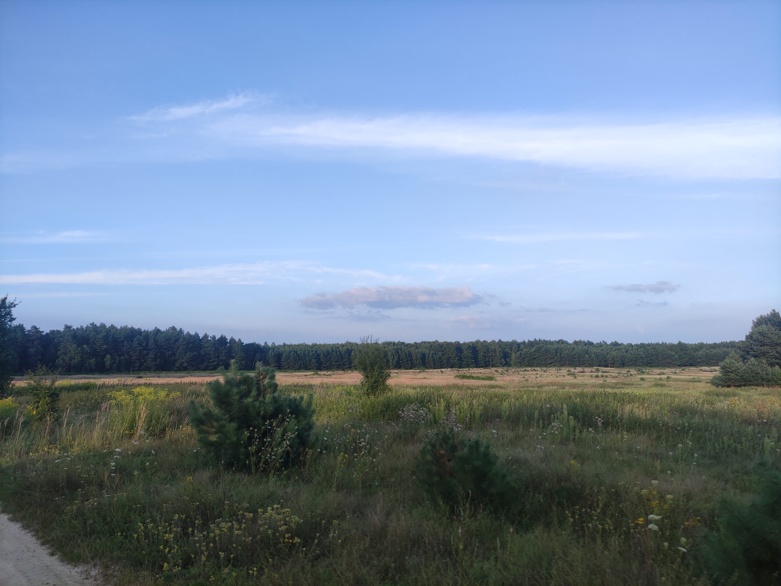 IMG_20240809_190115