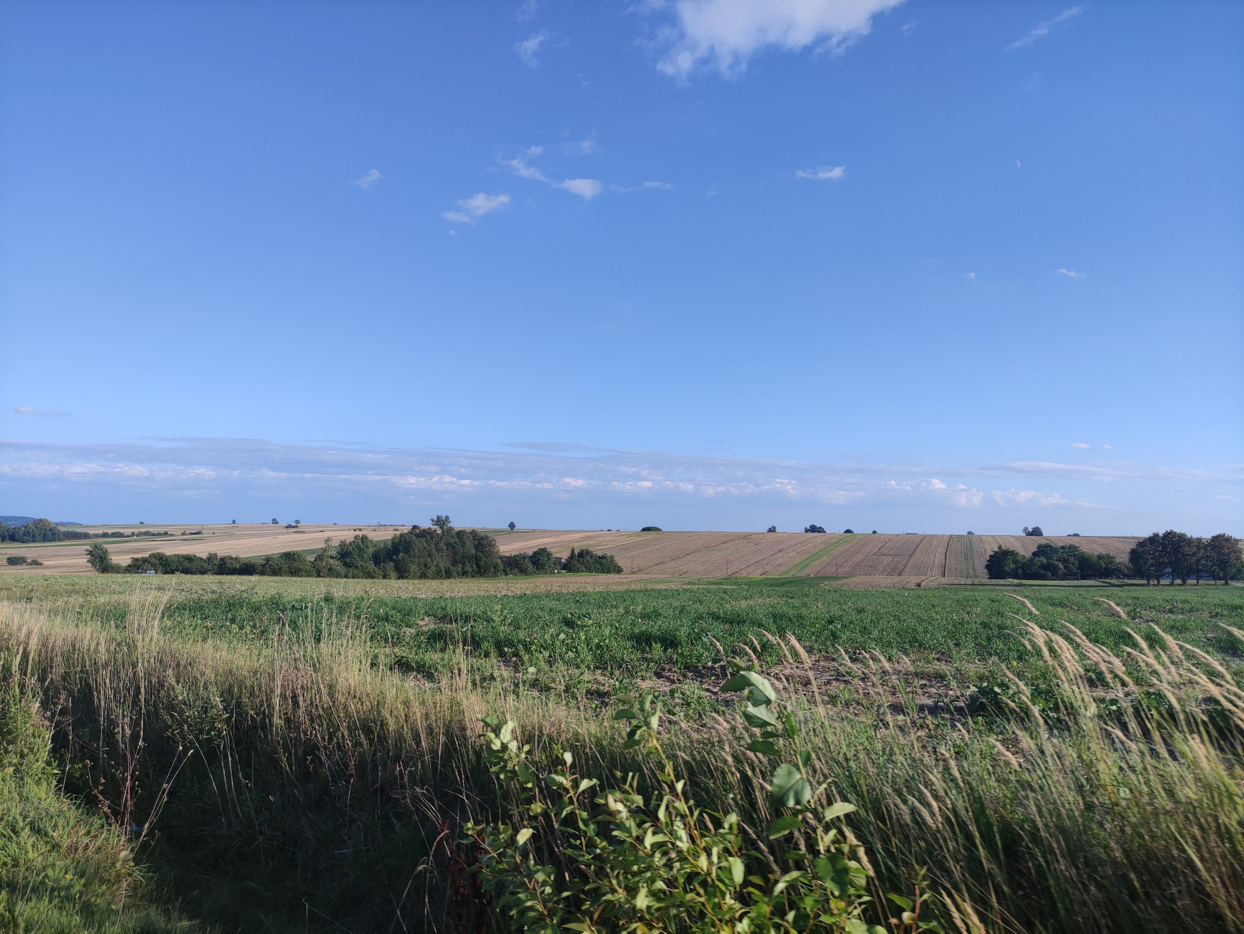 IMG_20240811_181337