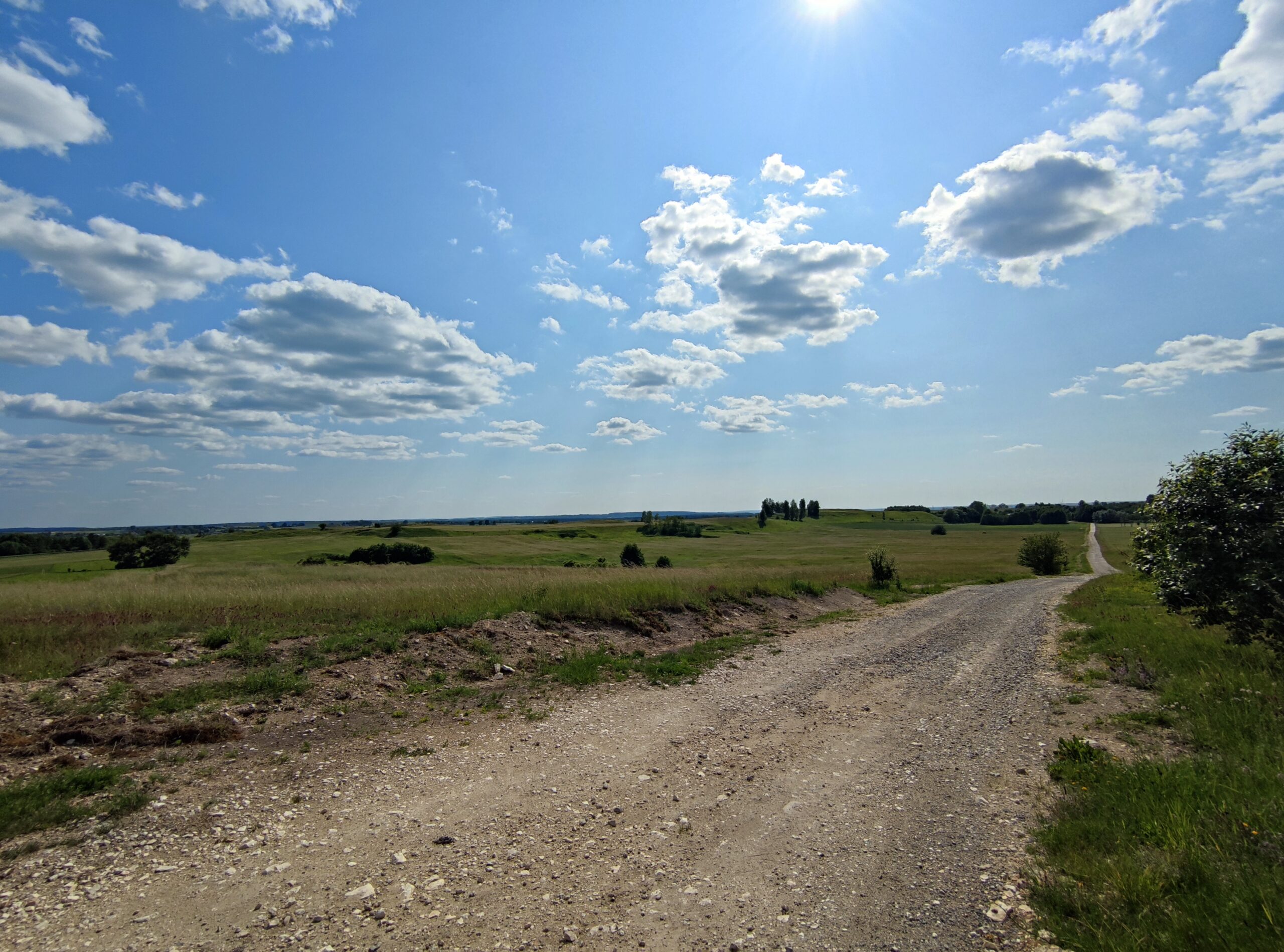 IMG_20250614_155602