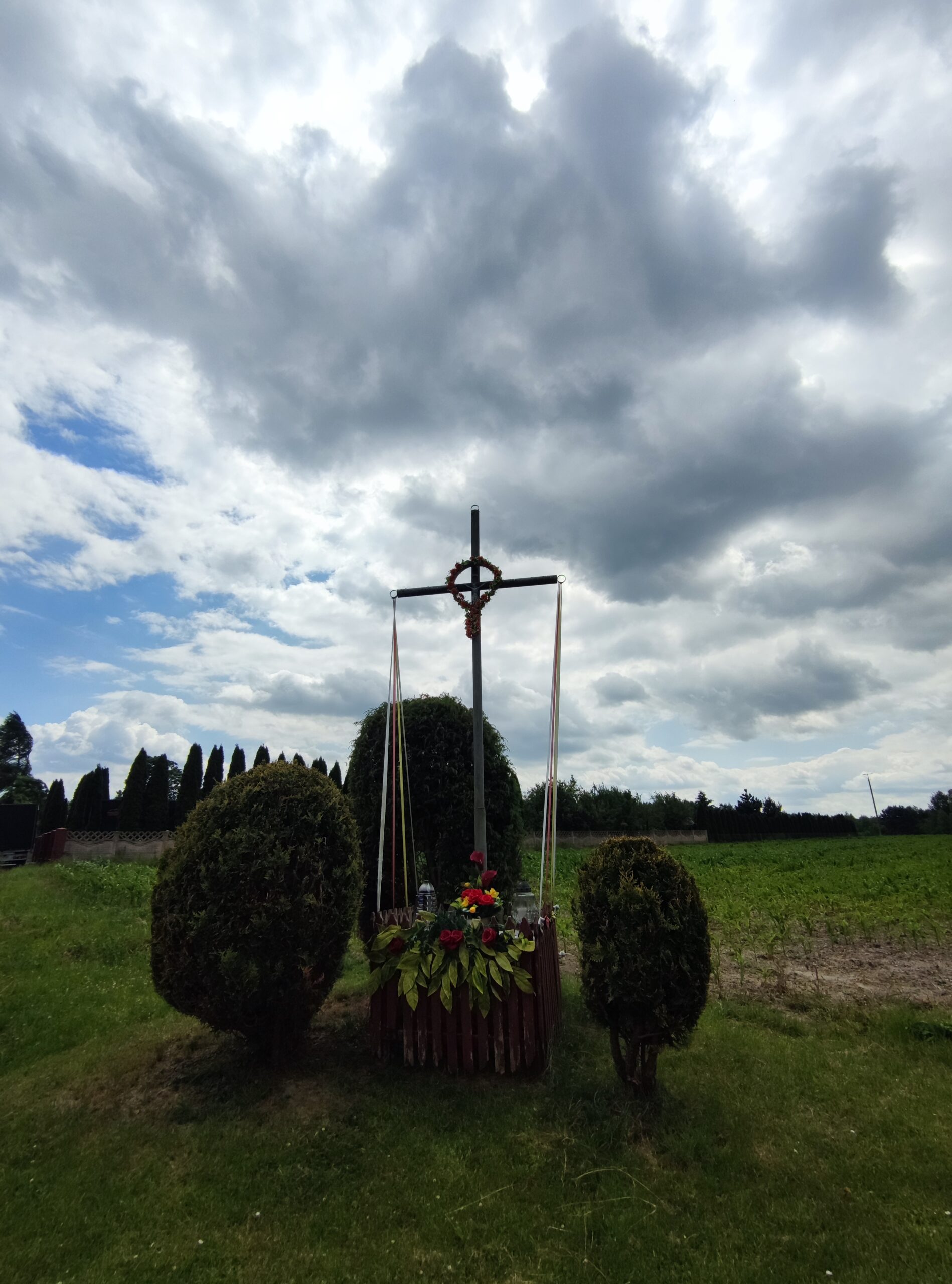 IMG_20250629_135500