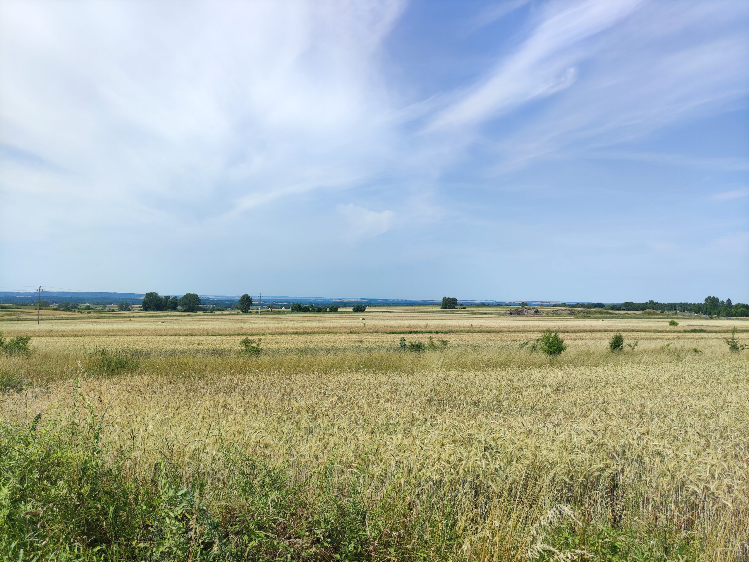 IMG_20250706_101414
