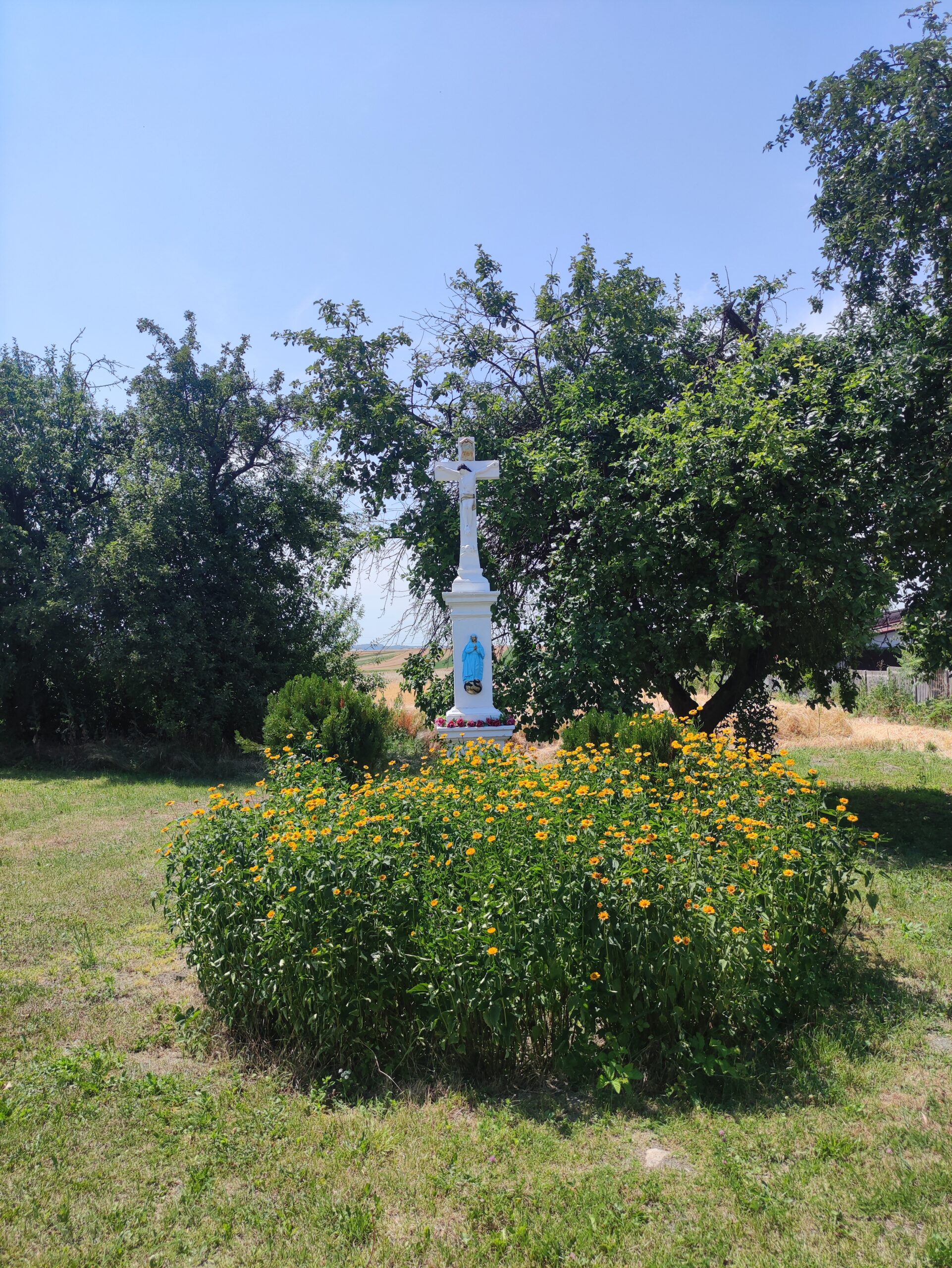 IMG_20250706_123421