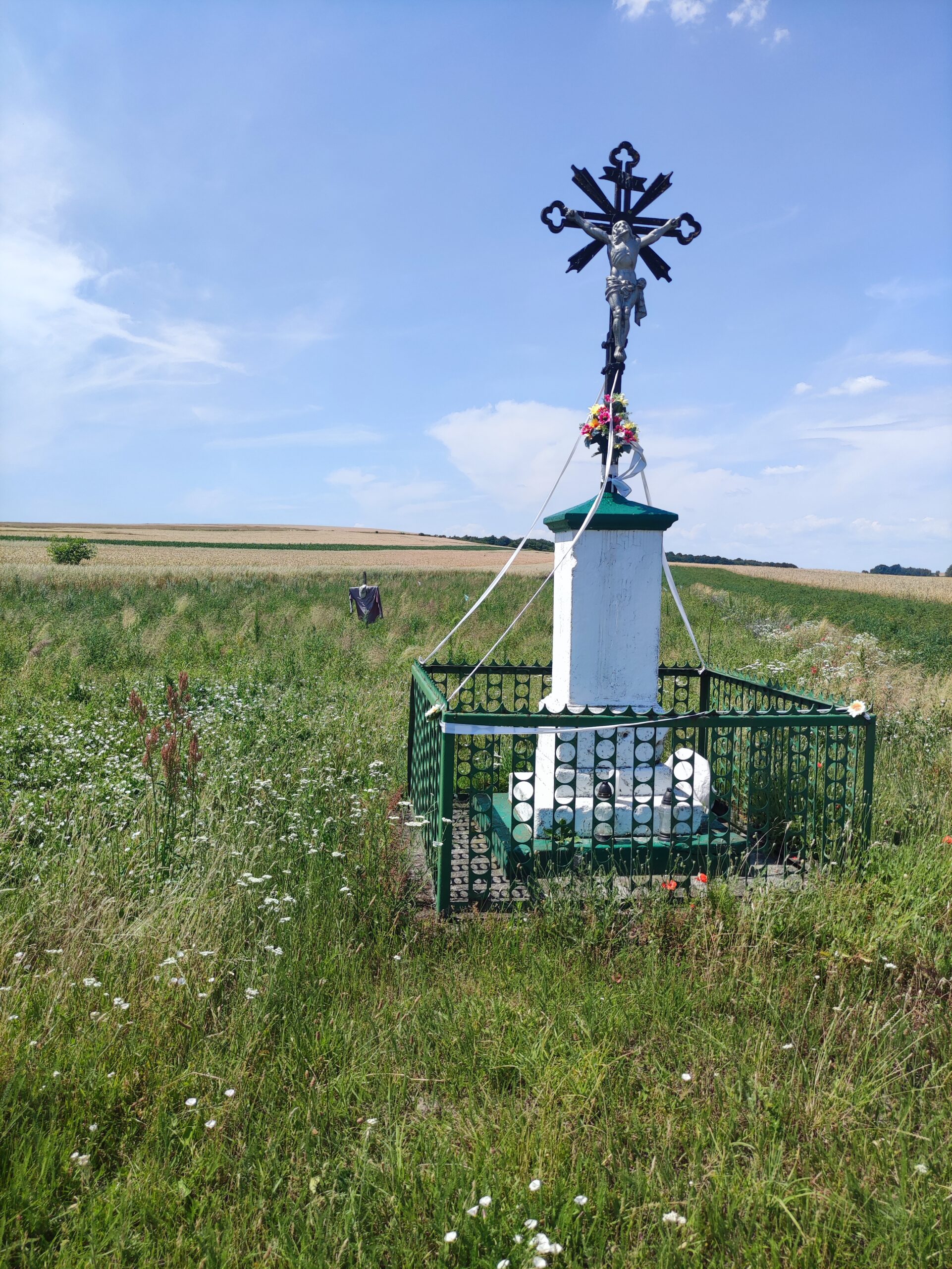 IMG_20250706_125202