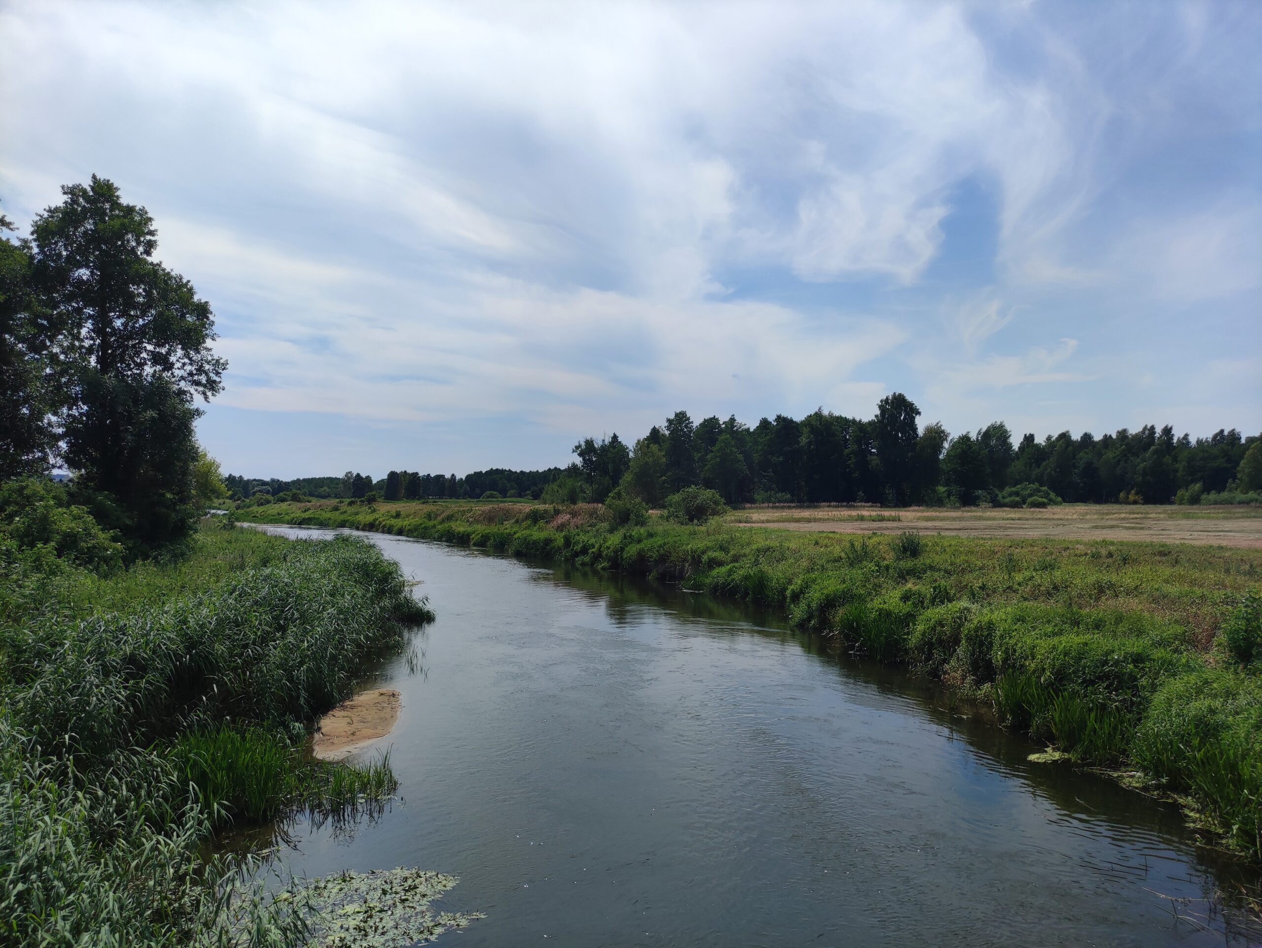 IMG_20250706_131543