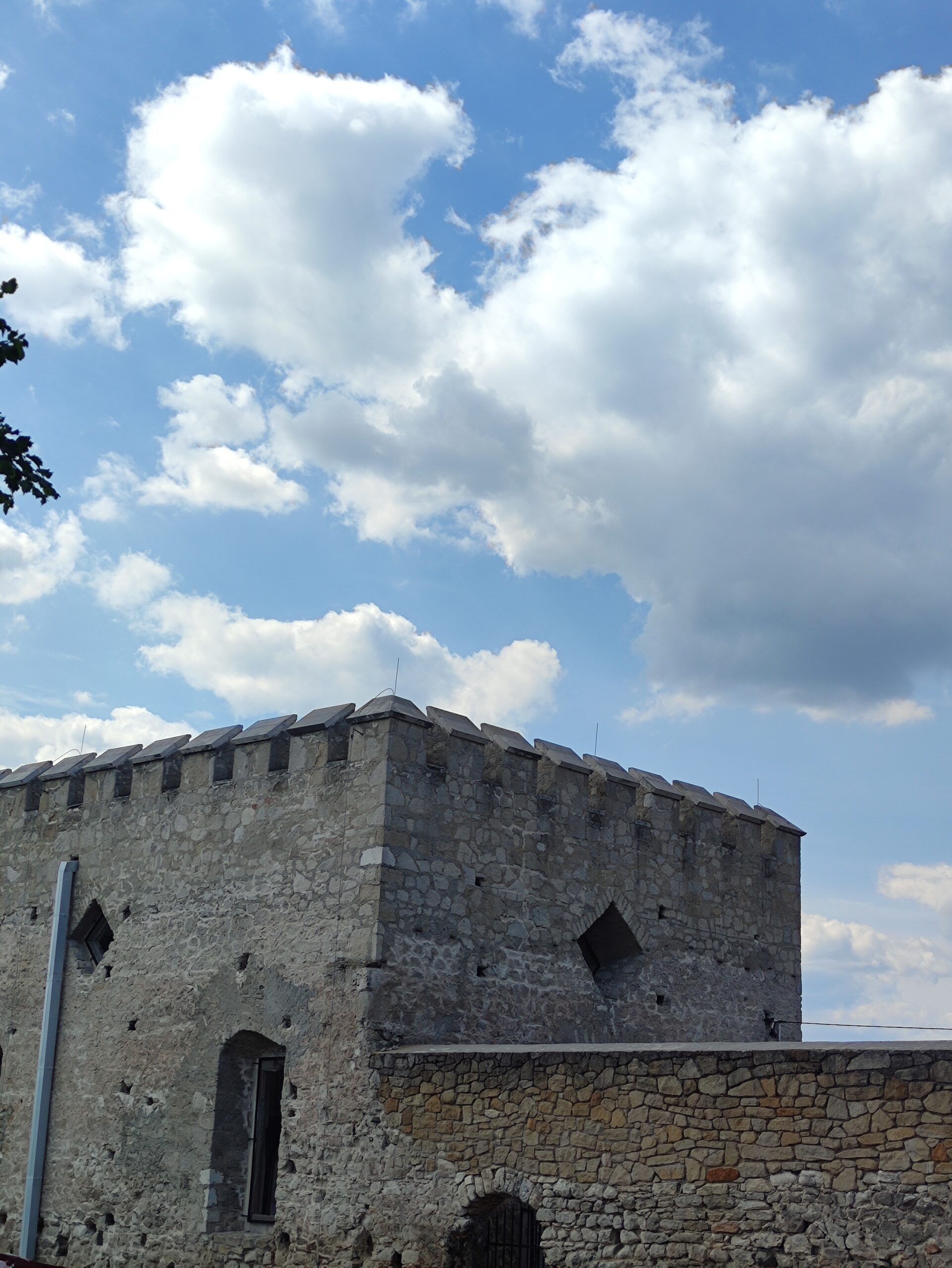 IMG_20260725_142609